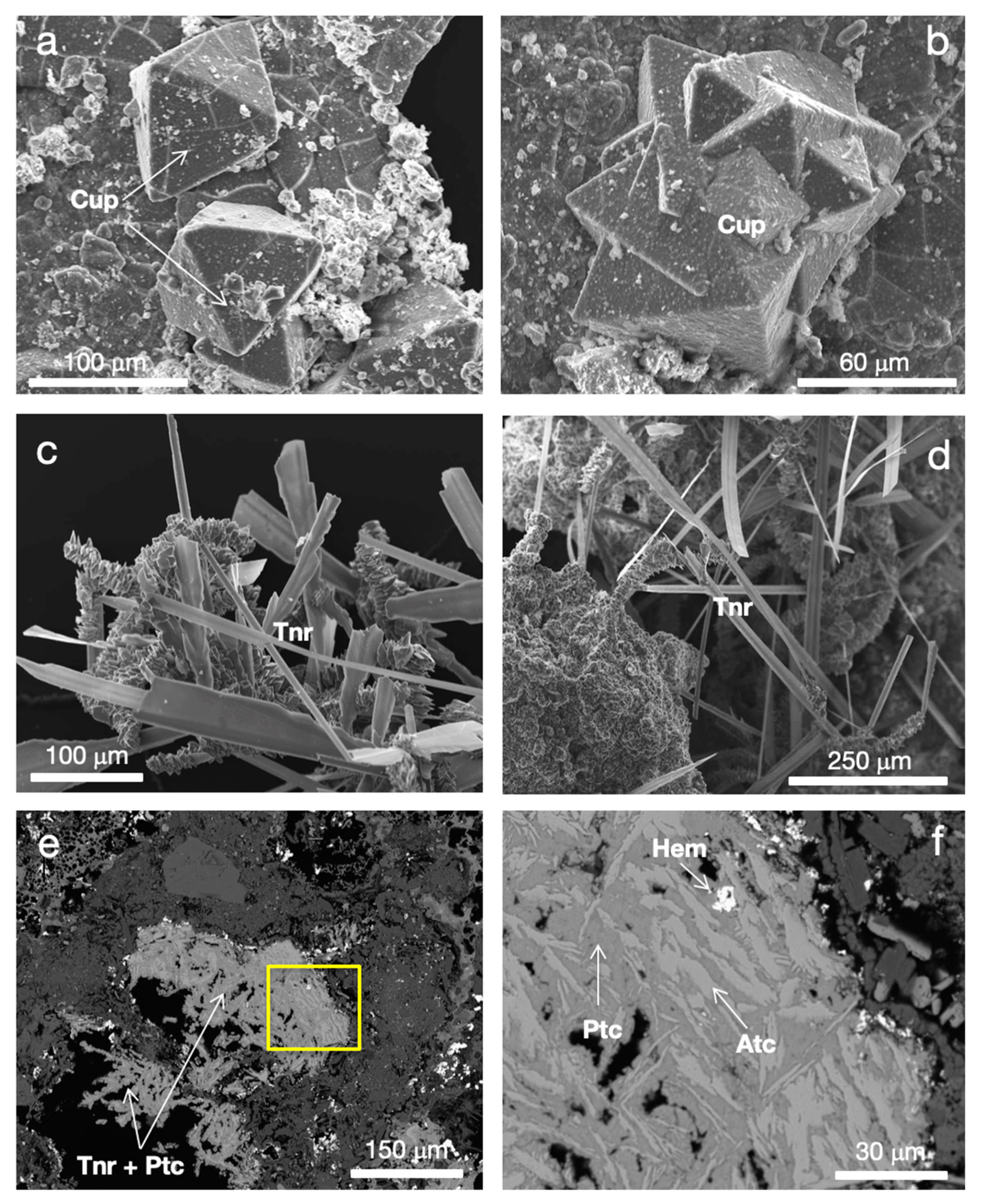 Minerals 09 00730 g004