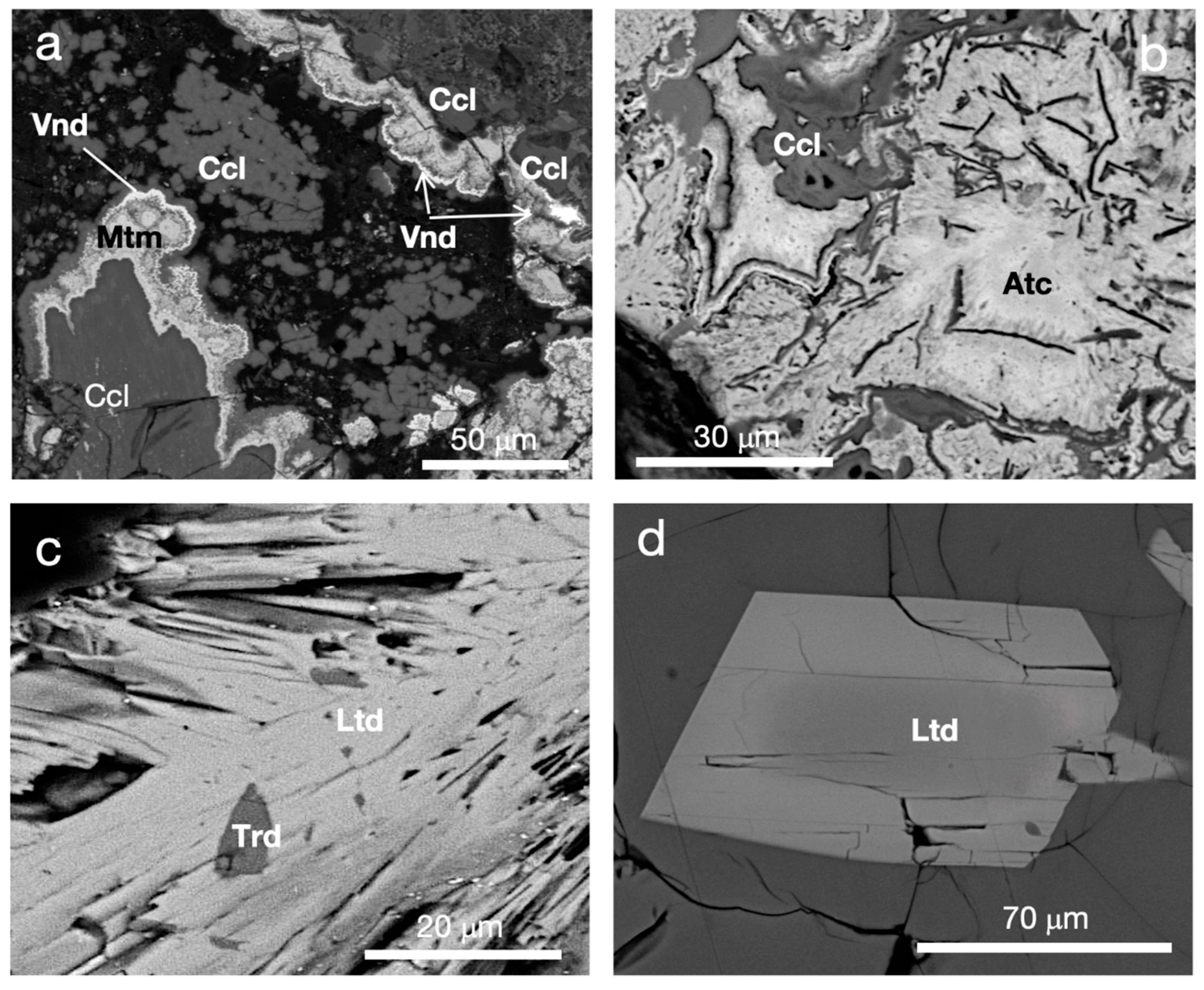 Minerals 09 00730 g013
