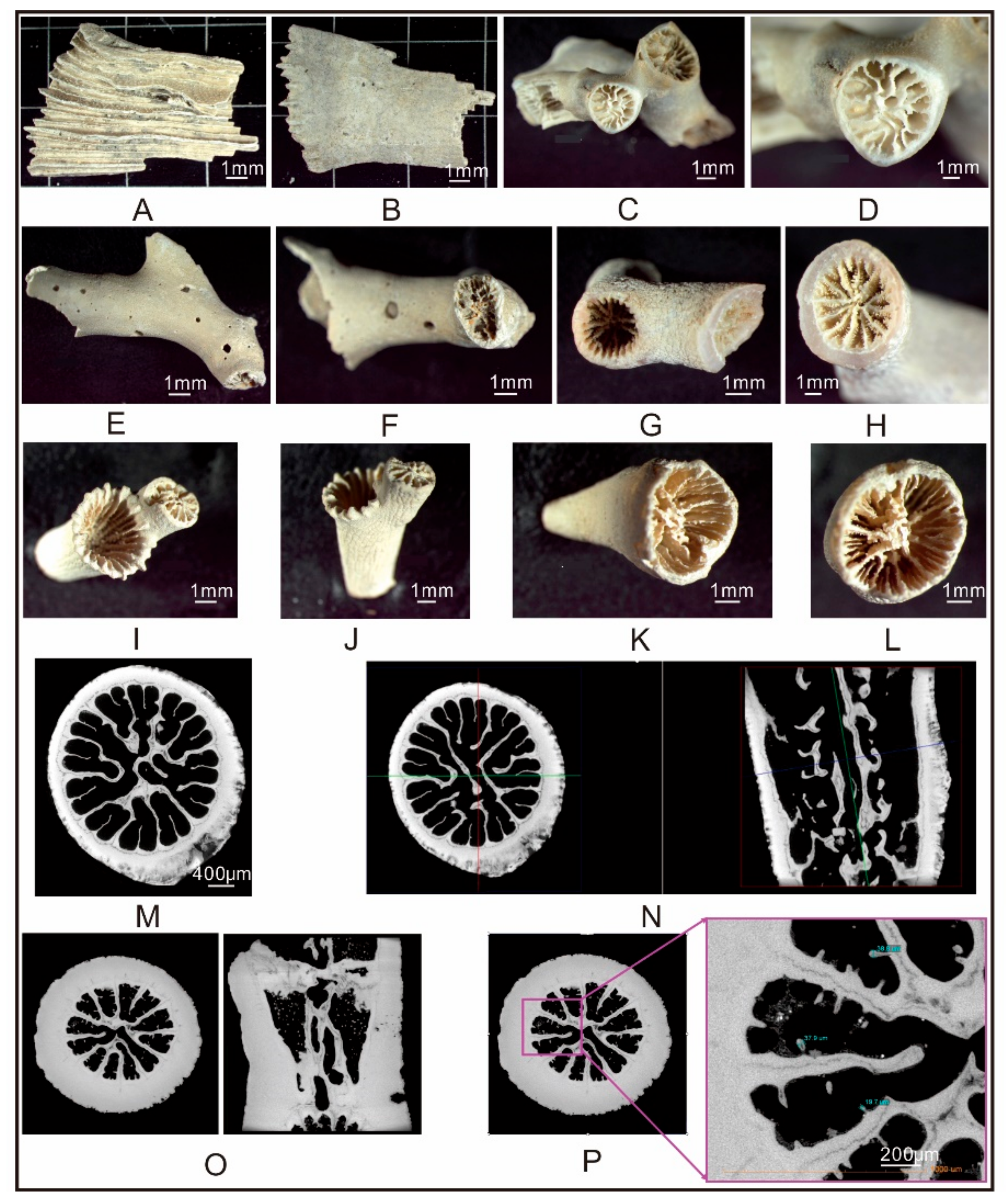 Minerals 09 00742 g004