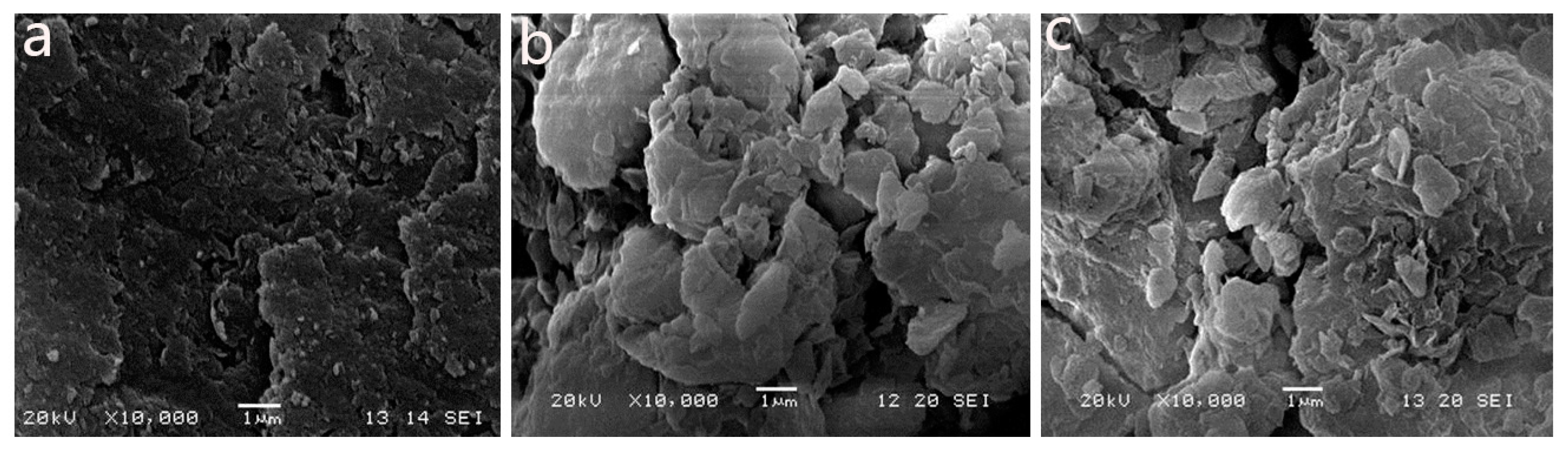 Minerals 09 00747 g005