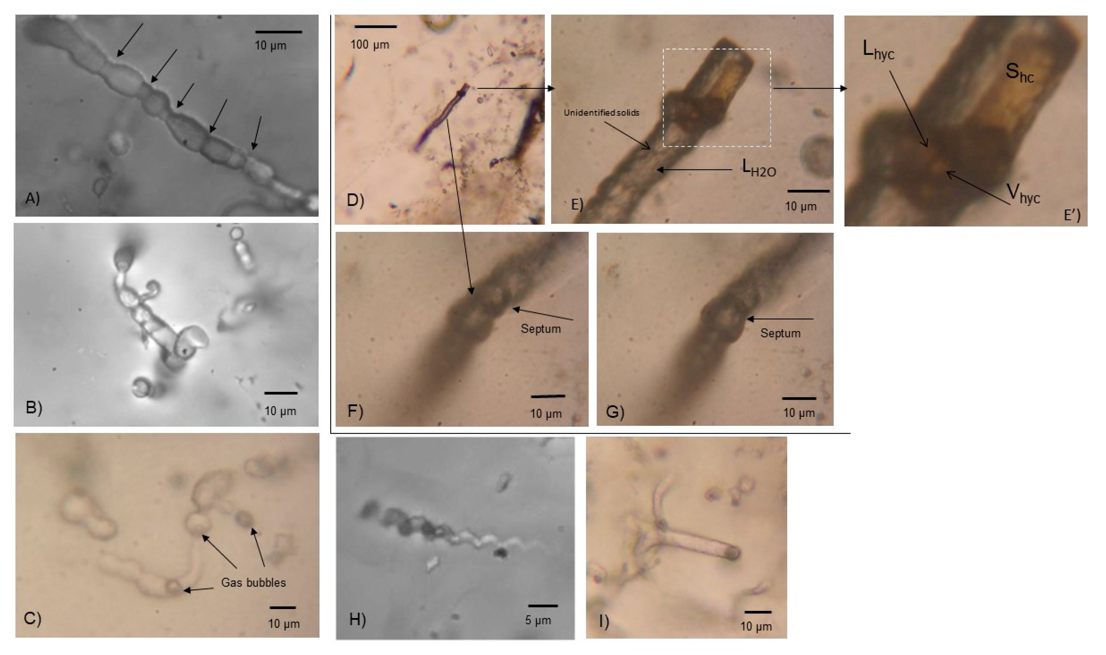 Minerals 09 00749 g006