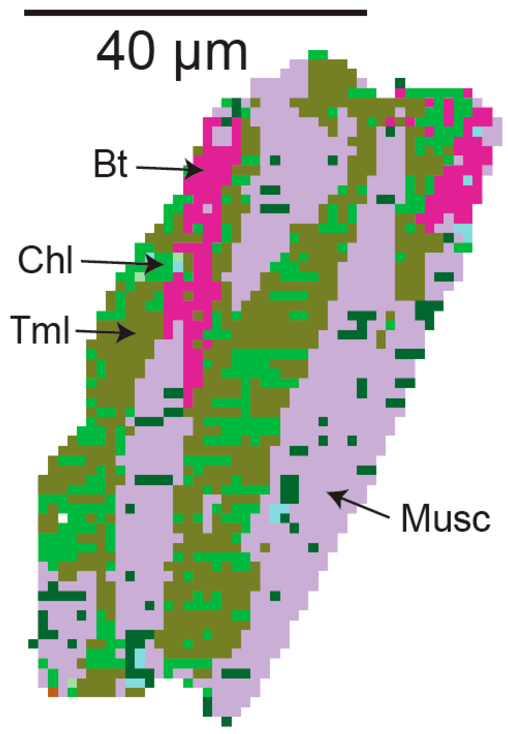 Minerals 09 00750 g010 Minerals 09 00750 g010