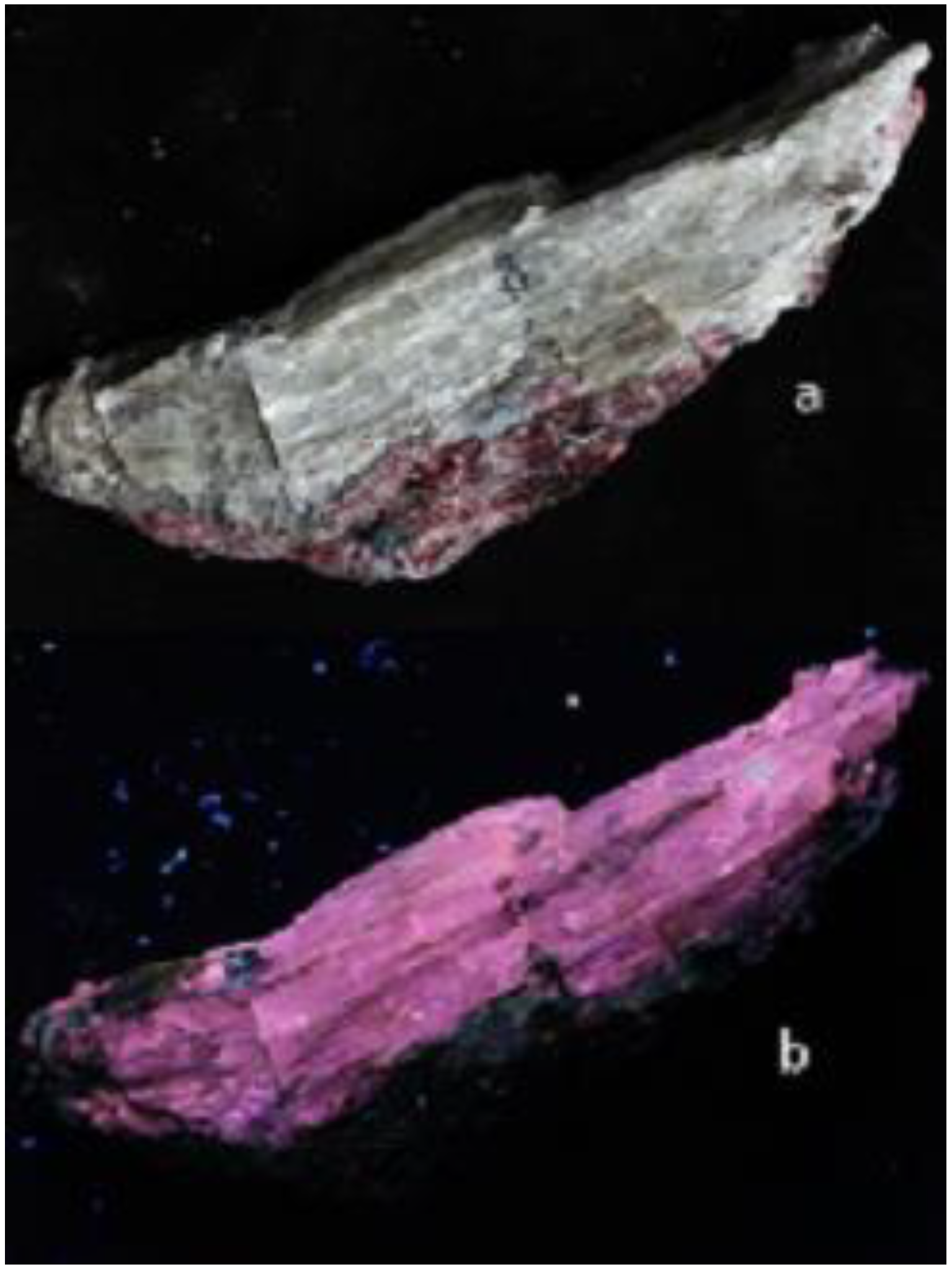 Minerals 09 00752 g002 Minerals 09 00752 g002