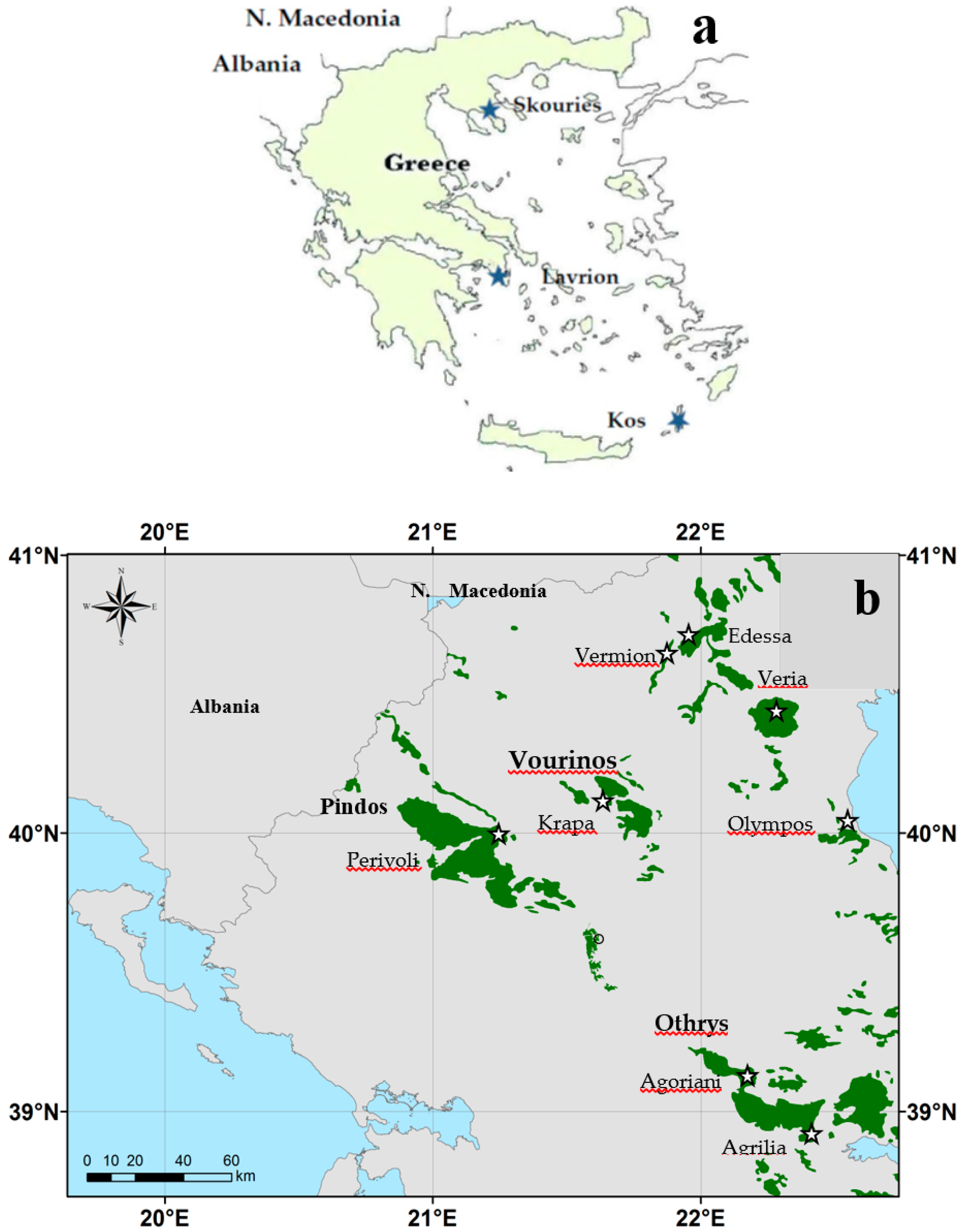 Minerals 09 00759 g001
