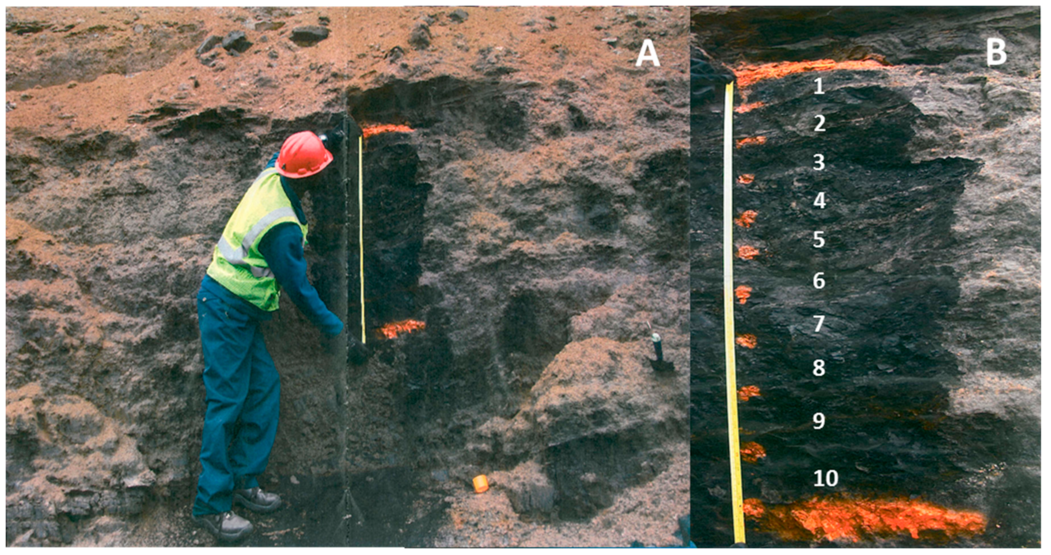 Minerals 09 00772 g001