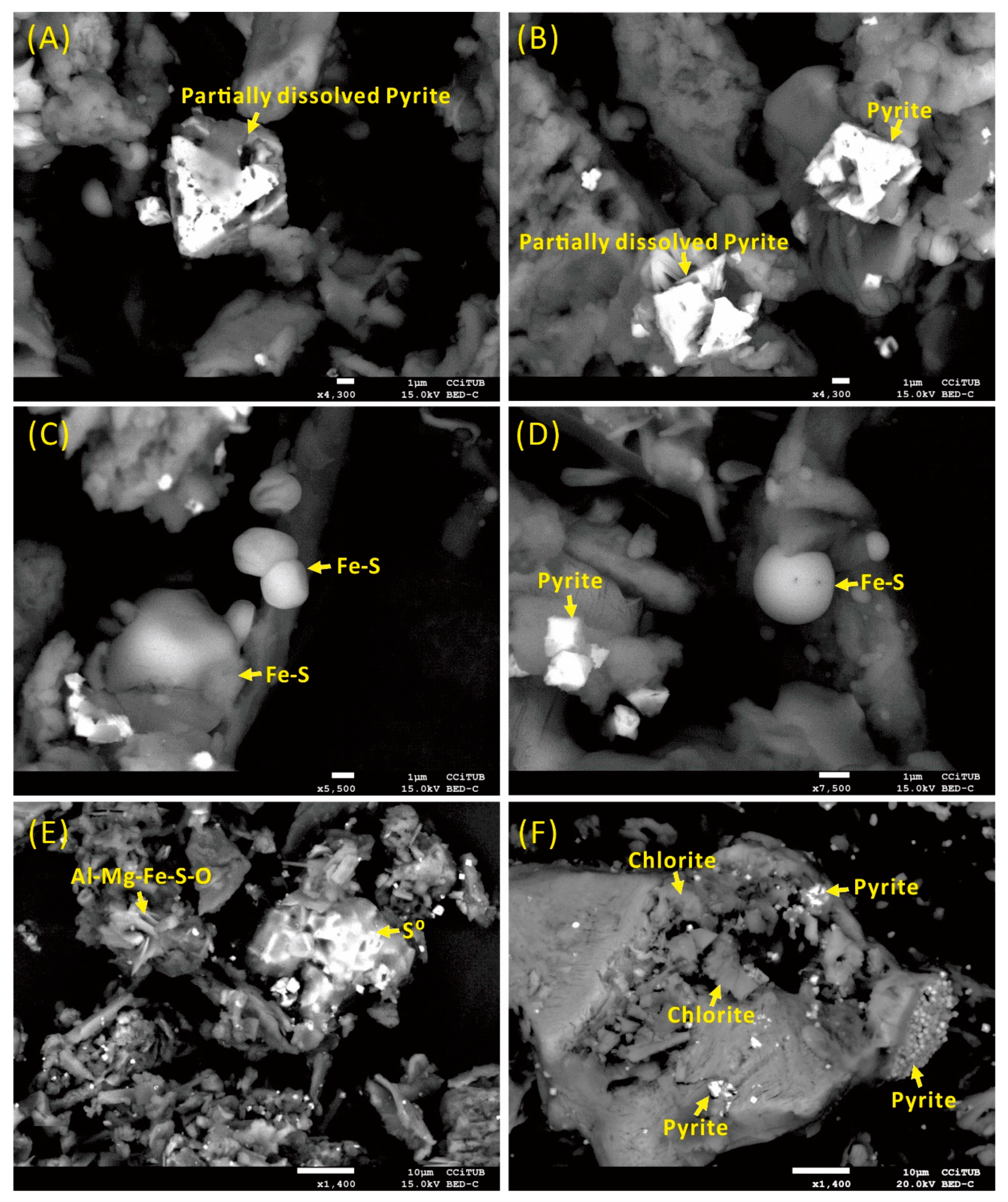 Minerals 10 00017 g007 Minerals 10 00017 g007