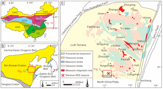 REE Enrichment during Magmatic–Hydrothermal Processes in