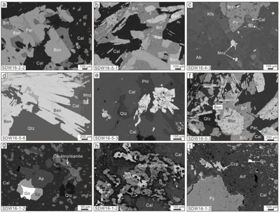 A品2キロ REE Enrichment during Magmatic–Hydrothermal Processes in