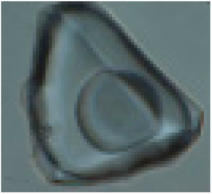 Minerals 10 00037 i006