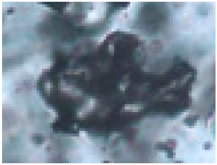 Minerals 10 00037 i010