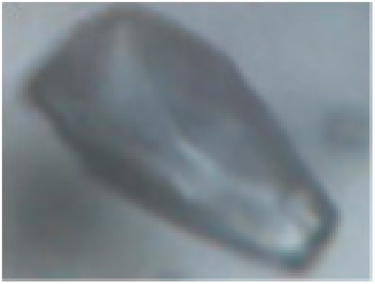 Minerals 10 00037 i011