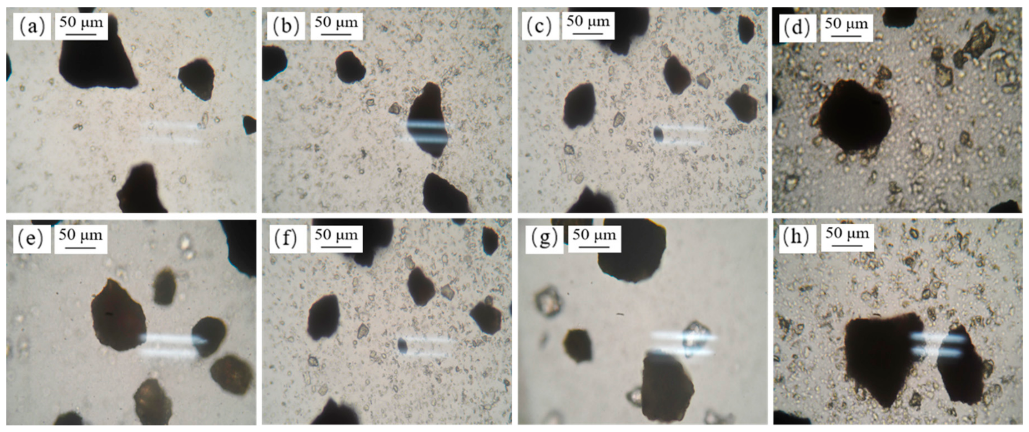 Minerals 10 00060 g013