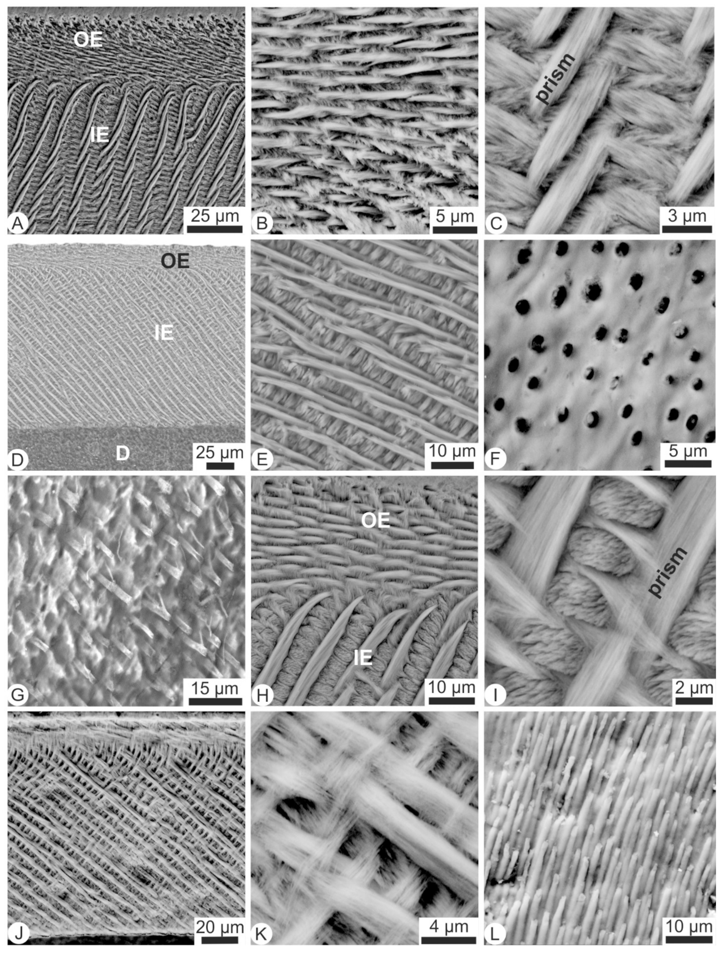 Minerals 10 00063 g001 Minerals 10 00063 g001