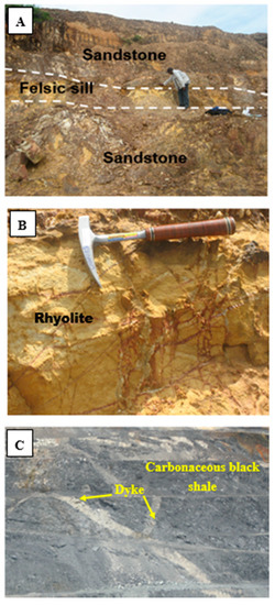 Minerals Free Full Text Fluid Inclusion Study Of The Penjom Tersang And Selinsing Orogenic Gold Deposits Peninsular Malaysia Html