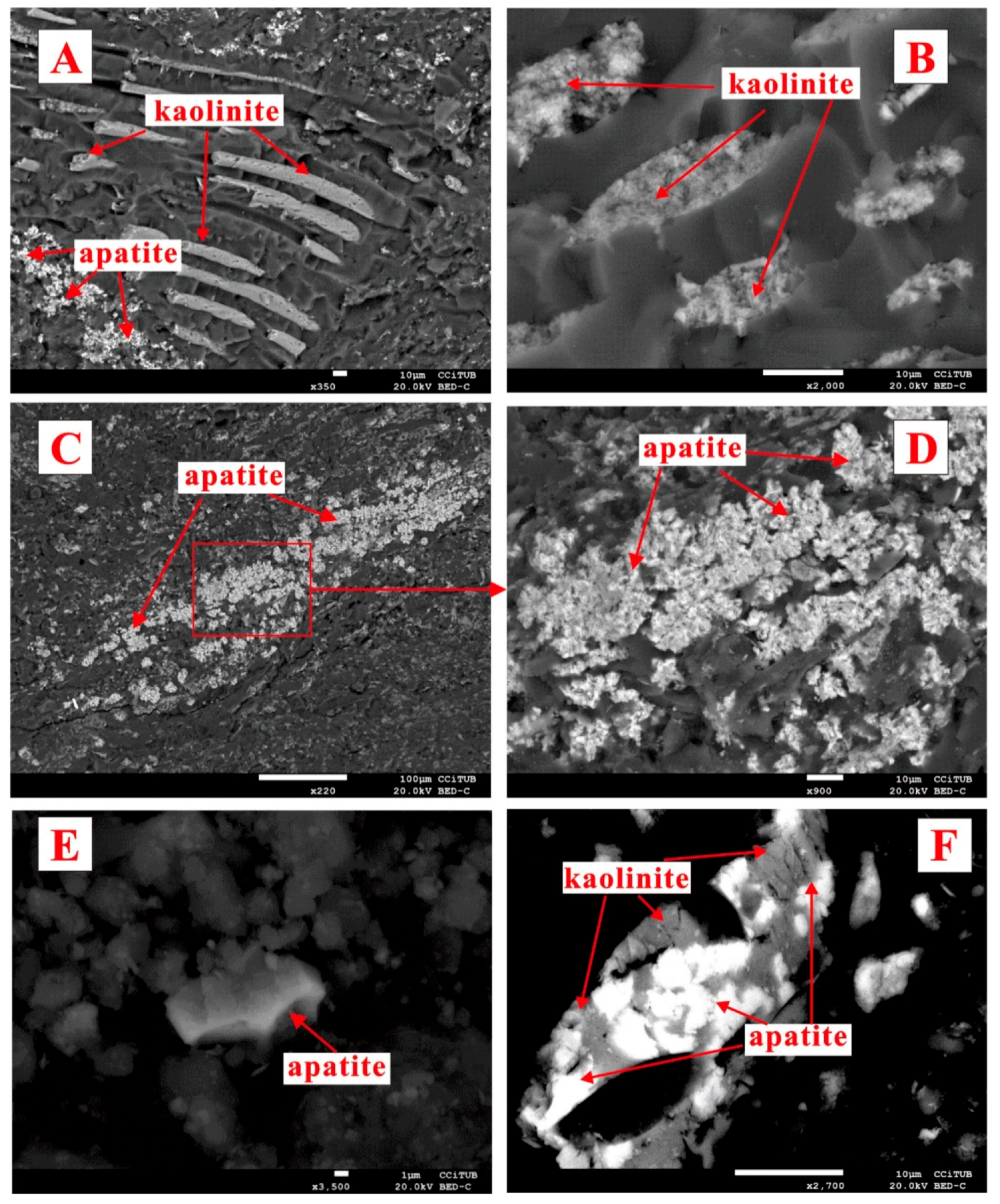 Minerals 10 00138 g006 Minerals 10 00138 g006