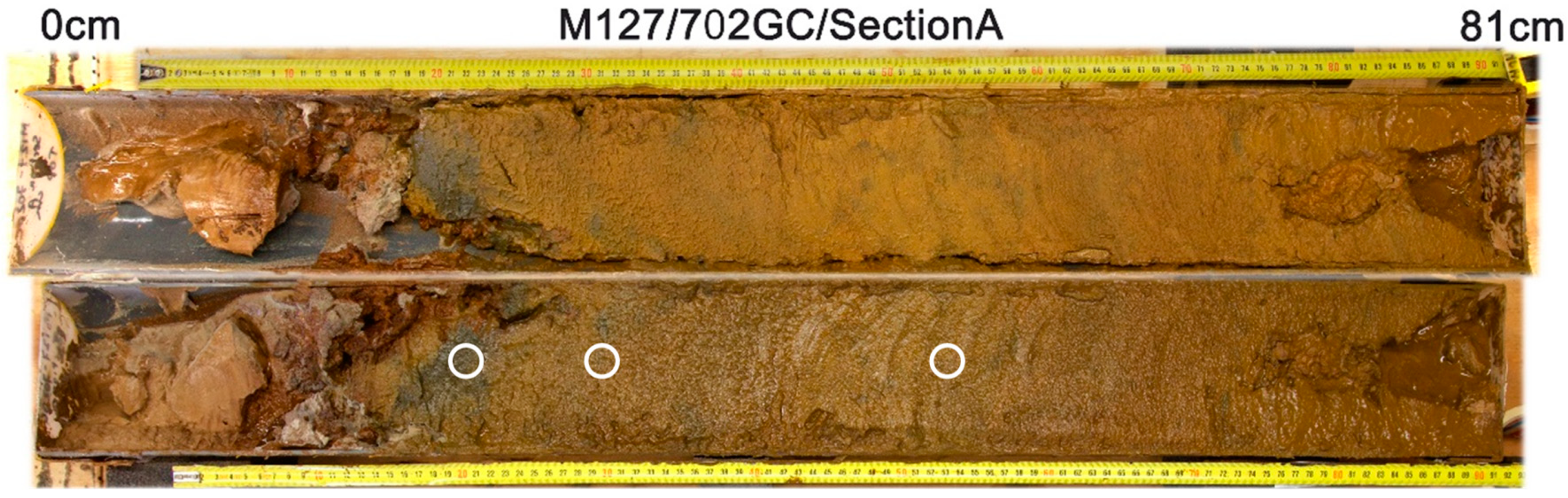 Minerals 10 00160 g007