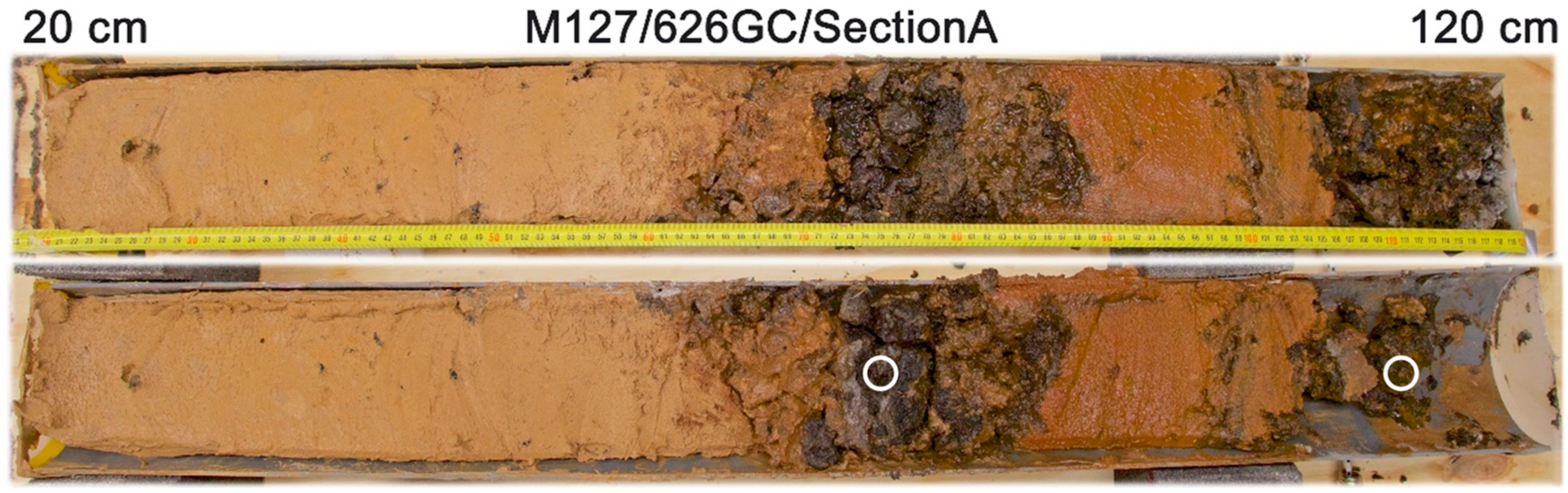 Minerals 10 00160 g009