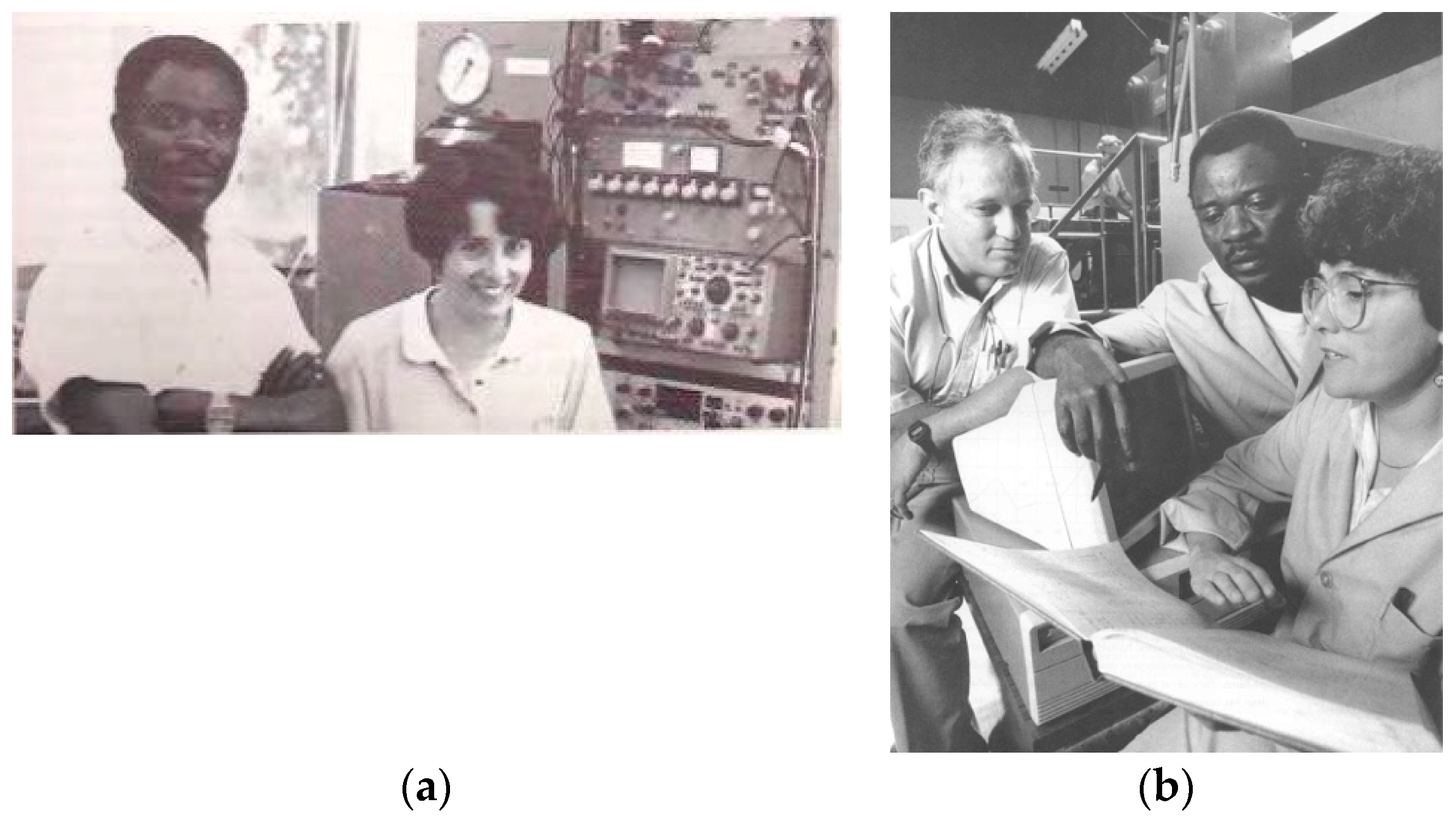 Minerals 10 00163 g002