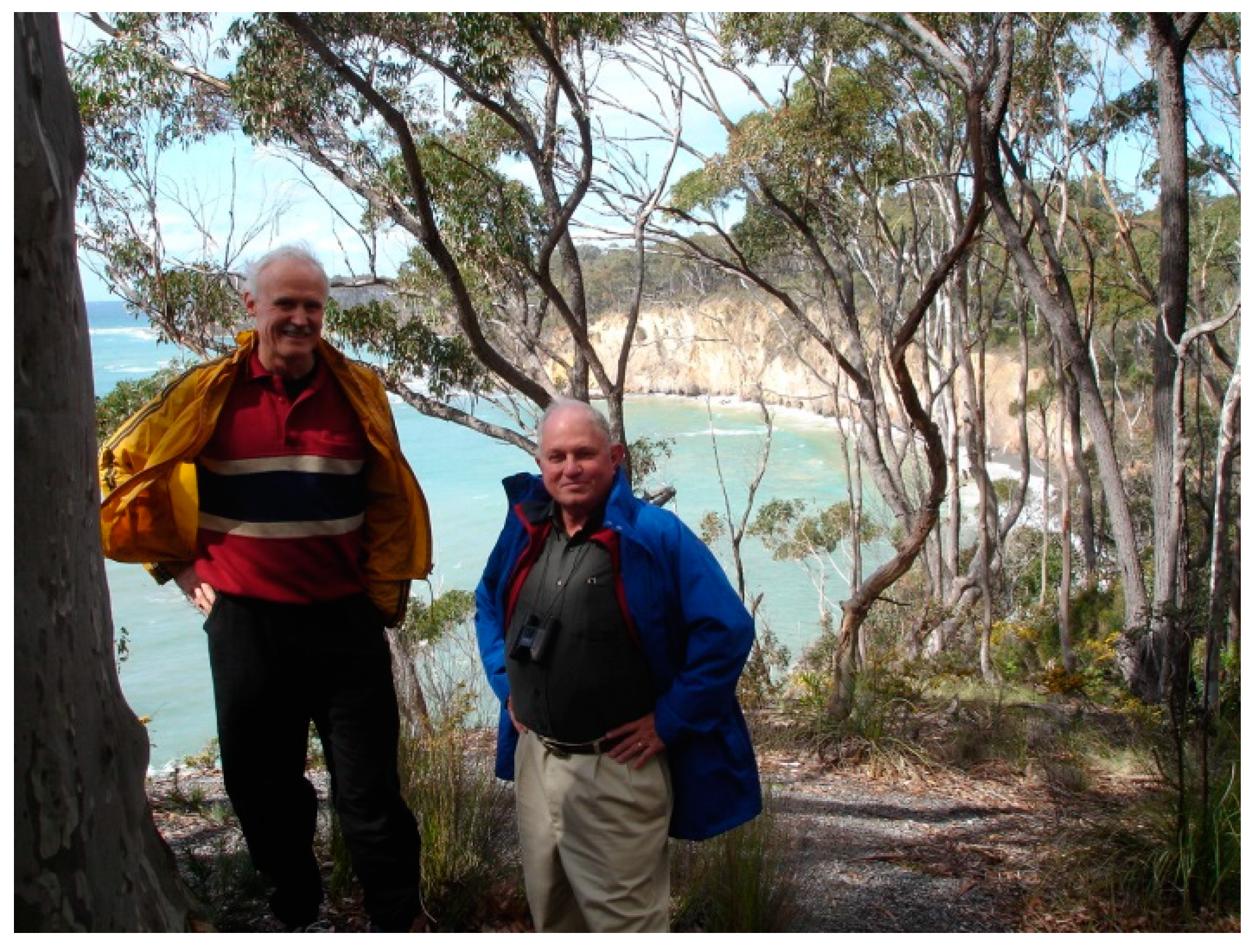 Minerals 10 00163 g005