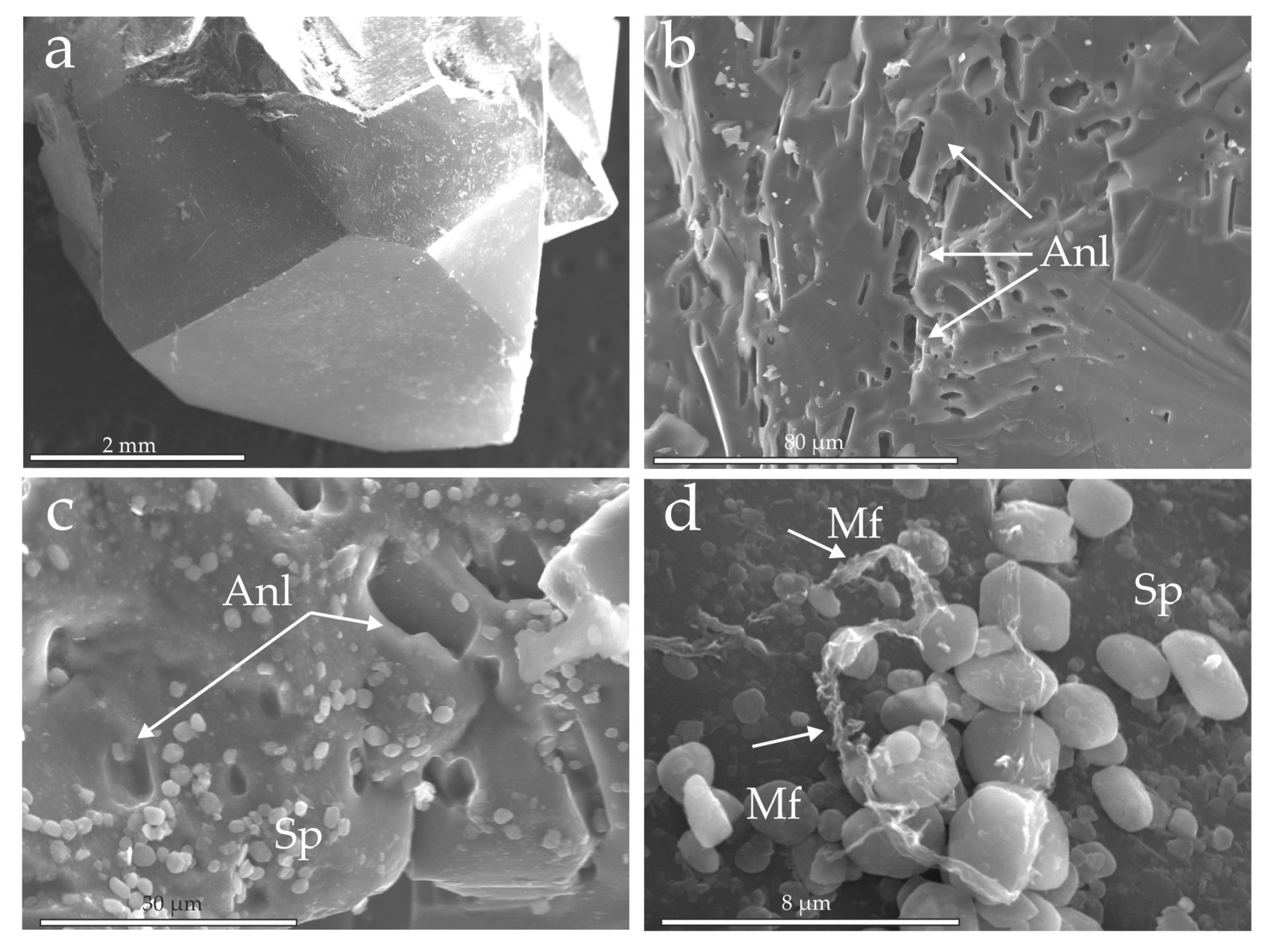 Minerals 10 00177 g005 Minerals 10 00177 g005