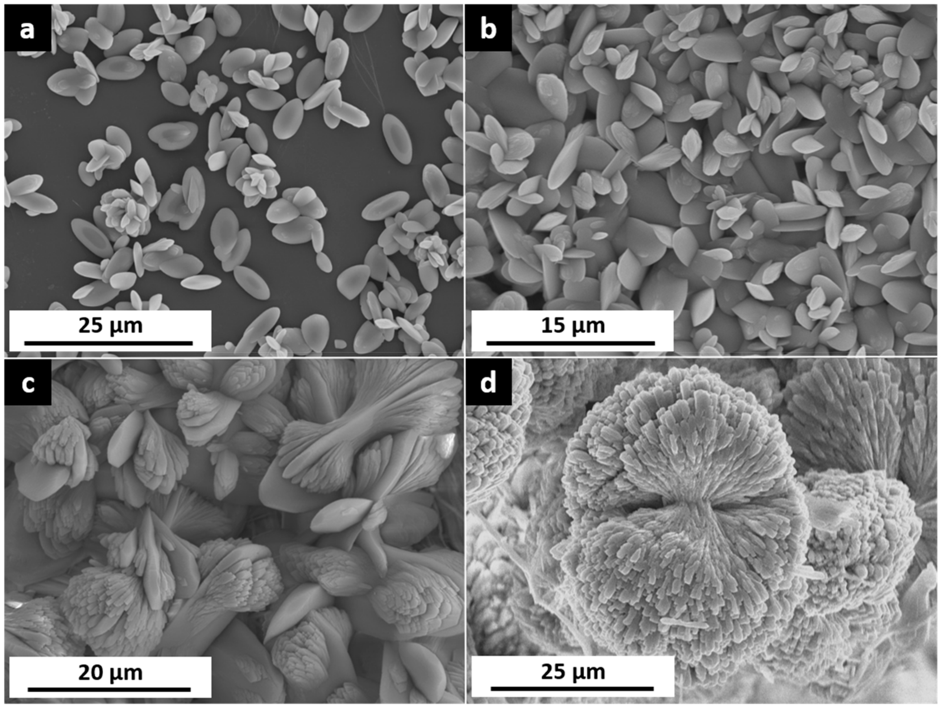 Minerals 10 00189 g002