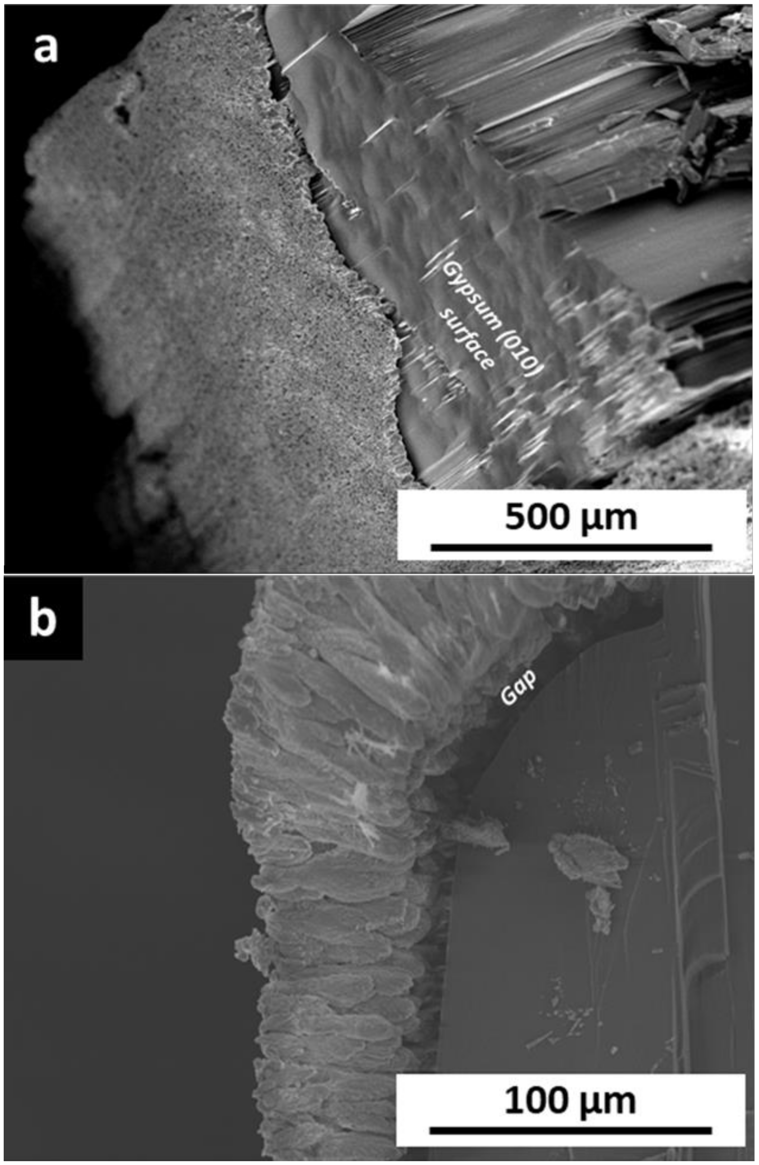 Minerals 10 00189 g003a