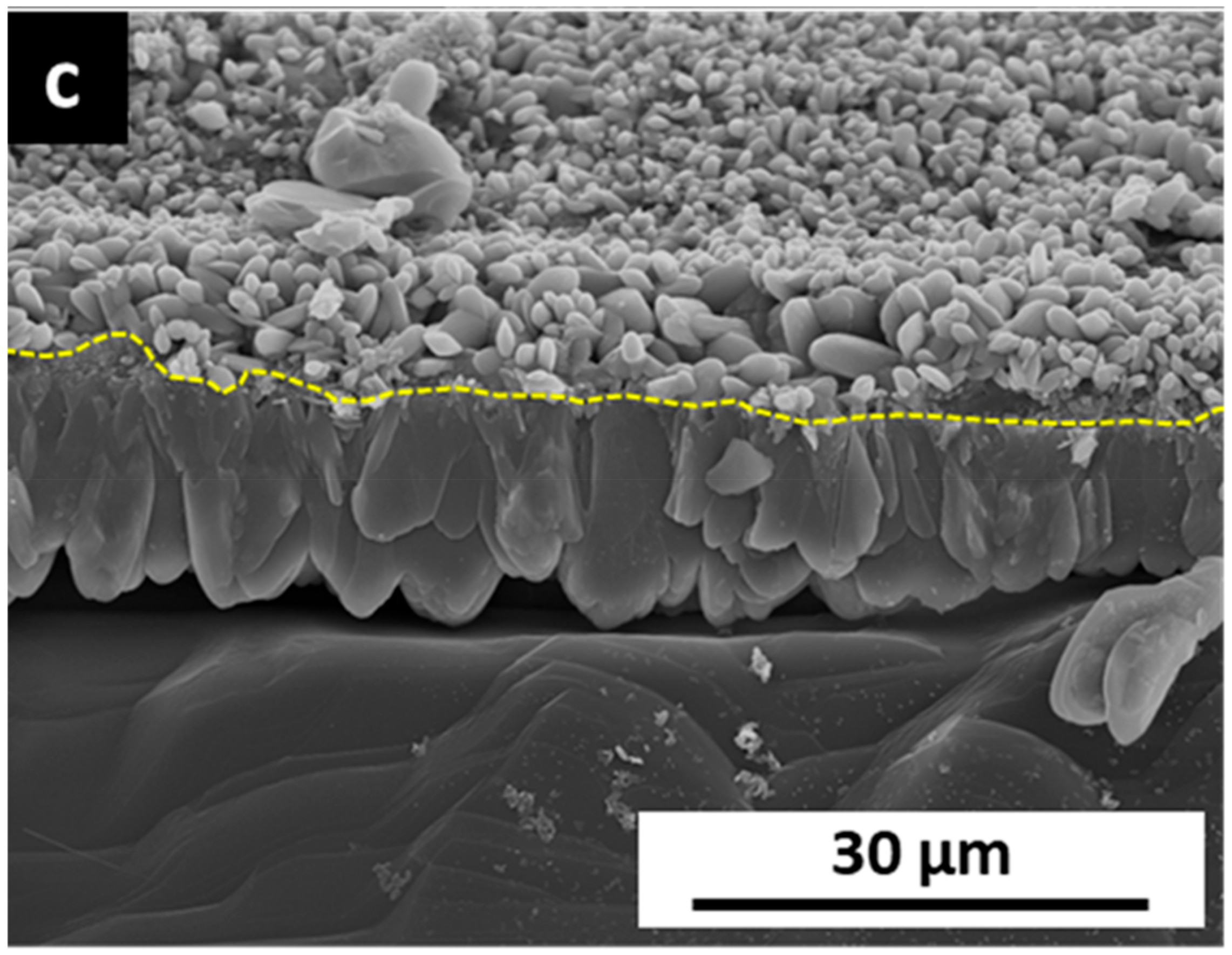 Minerals 10 00189 g003b