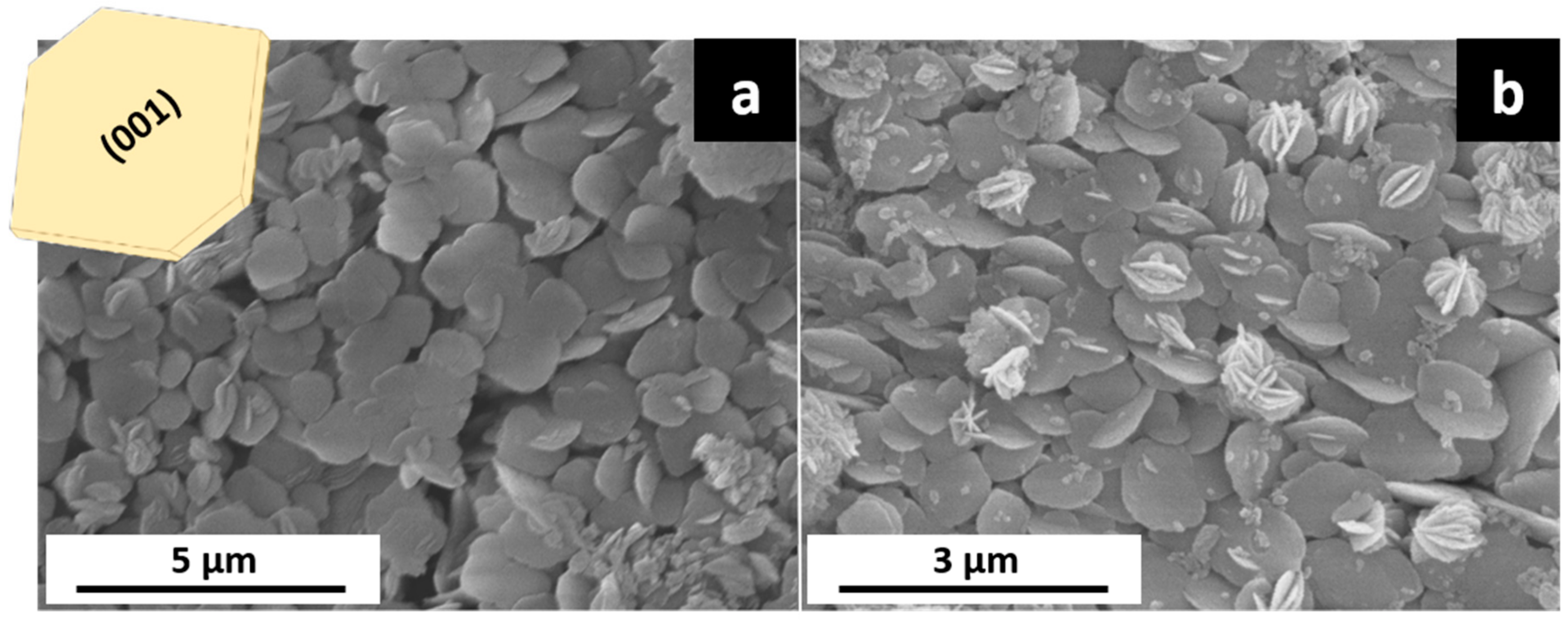 Minerals 10 00189 g007