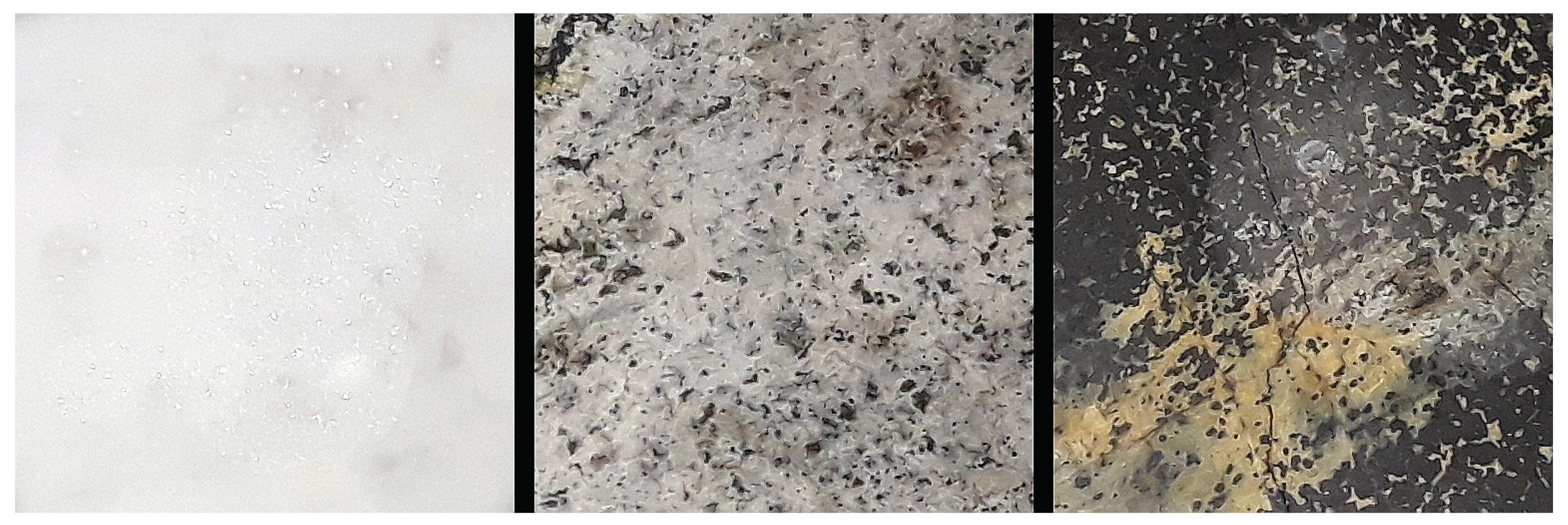 Minerals 10 00202 g004 550