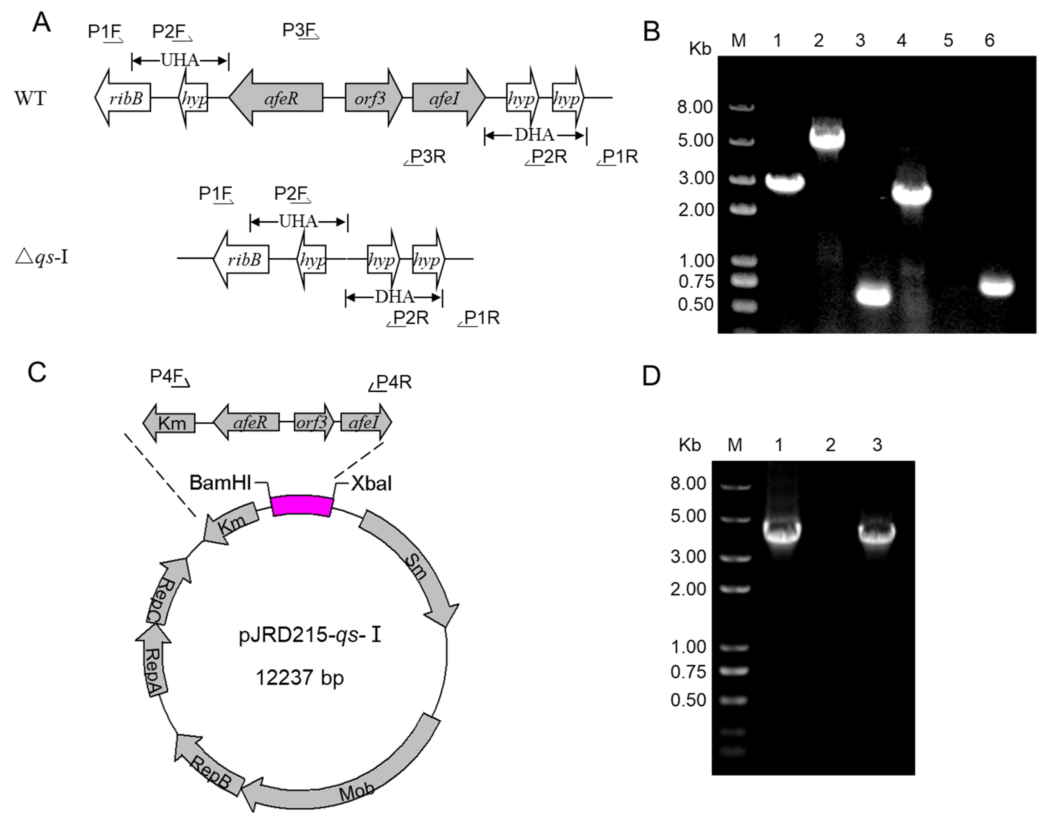 Minerals 10 00222 g001