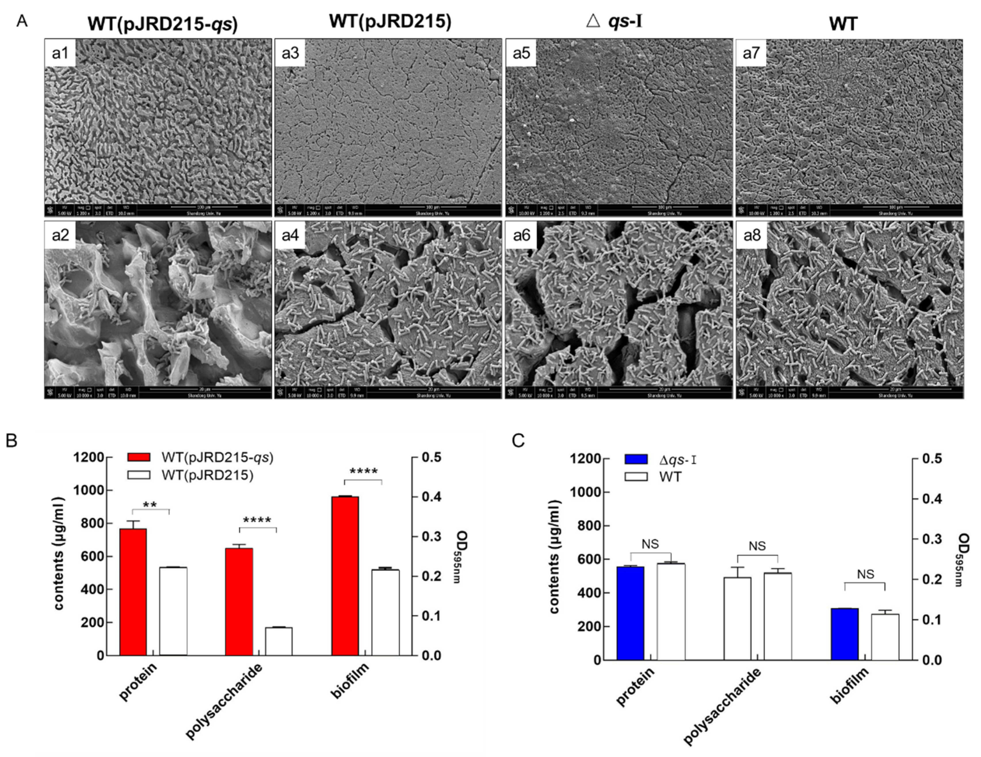 Minerals 10 00222 g004