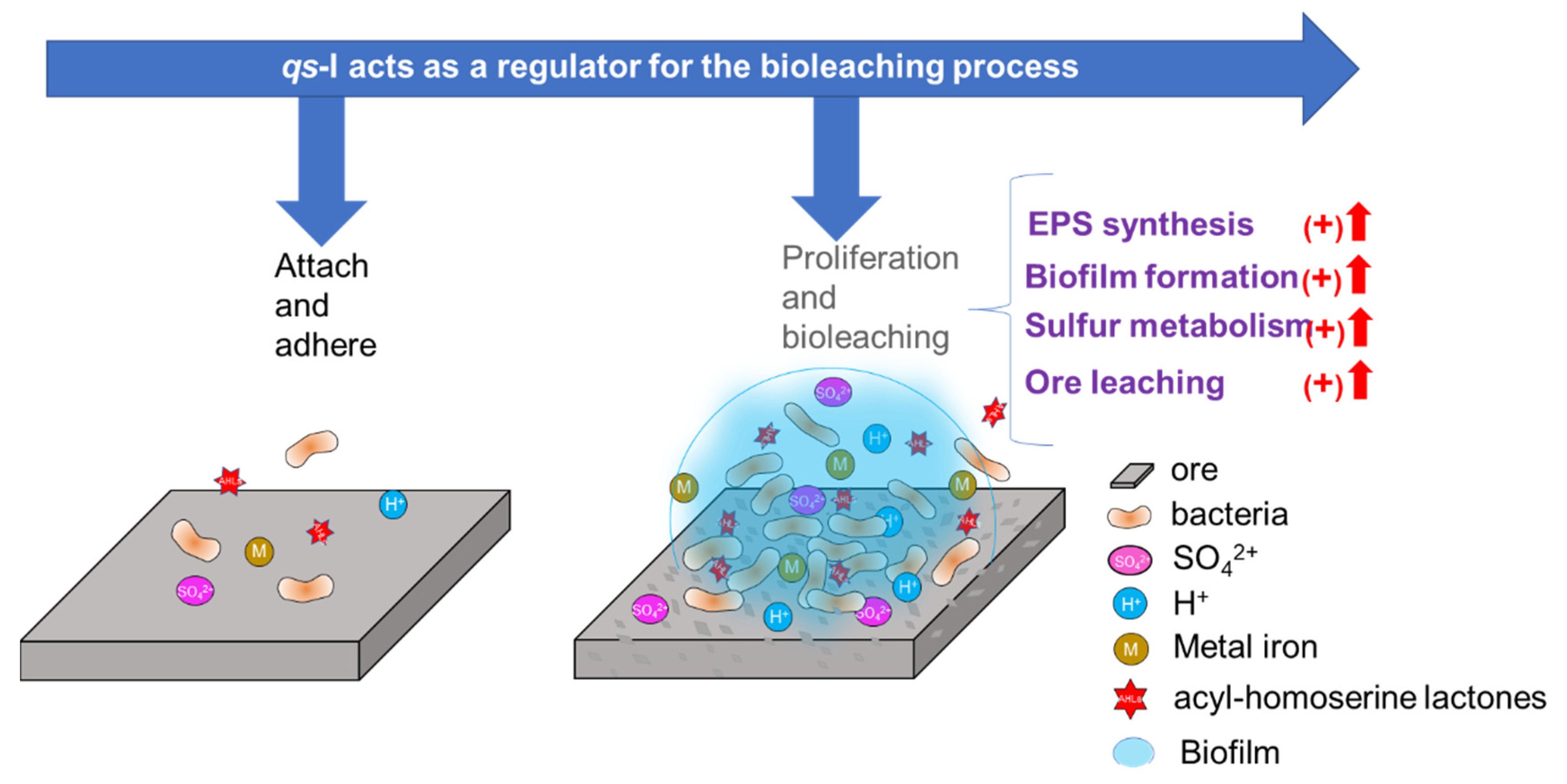 Minerals 10 00222 g007