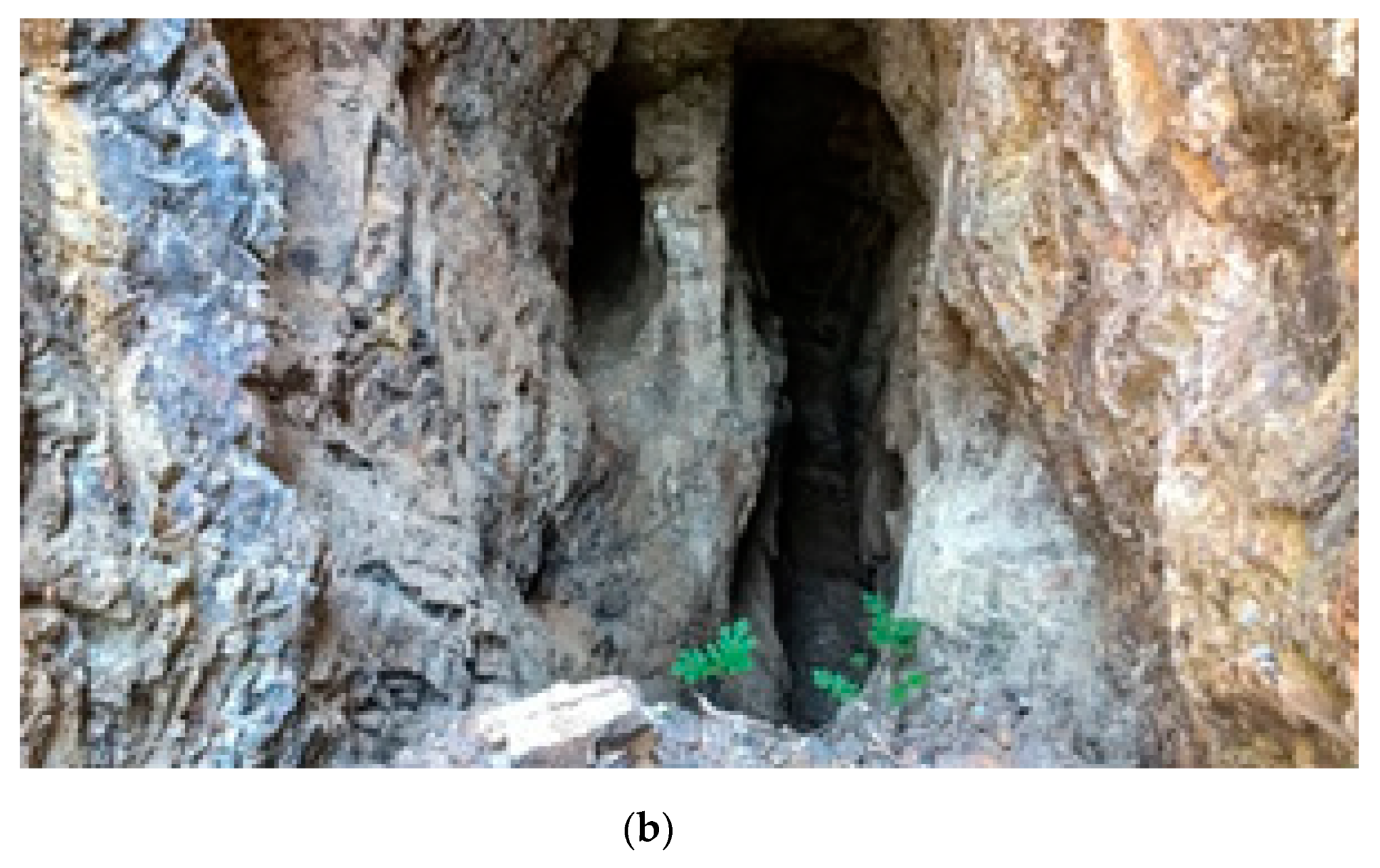 Minerals 10 00236 g003b