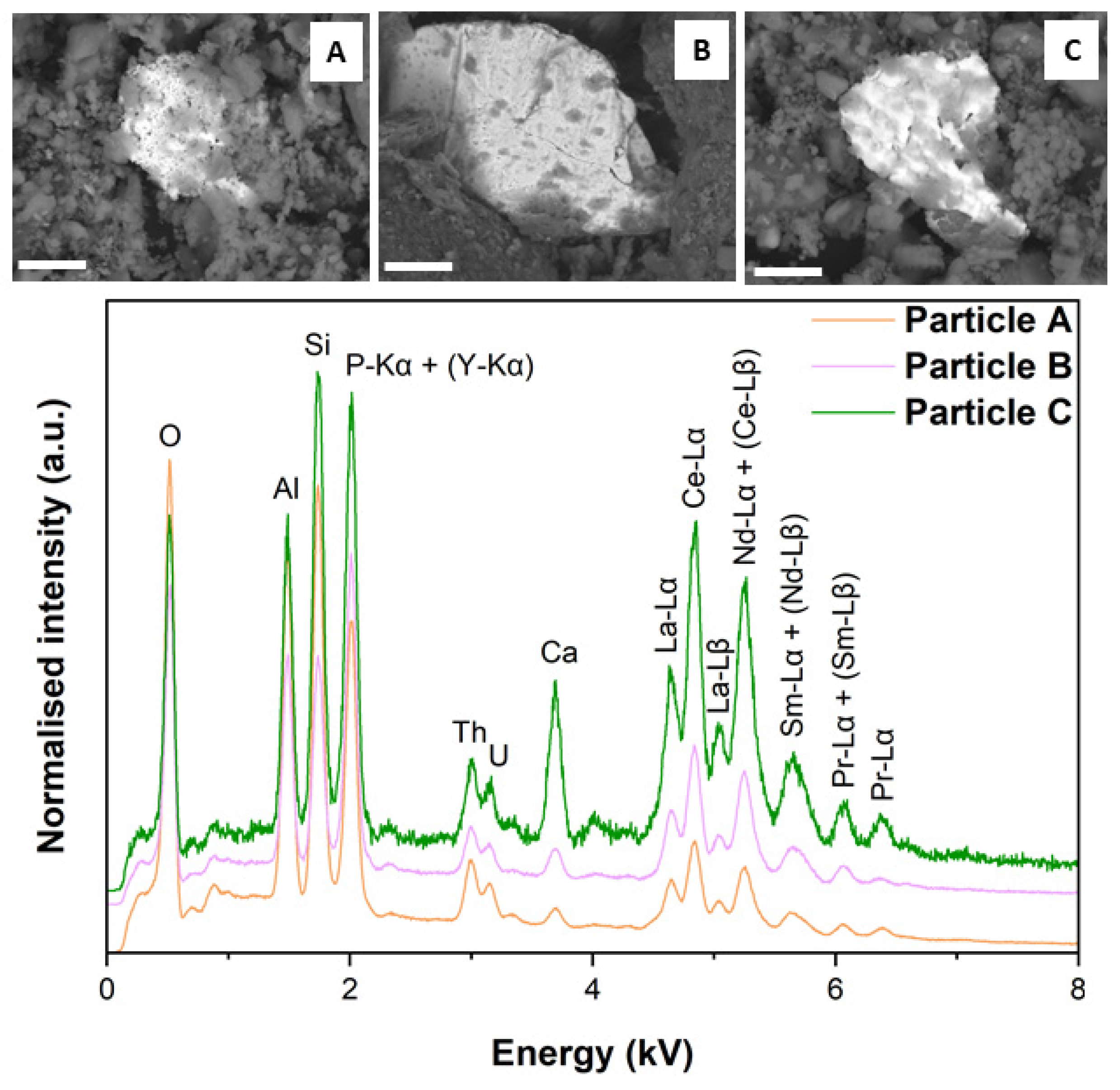 Minerals 10 00241 g002