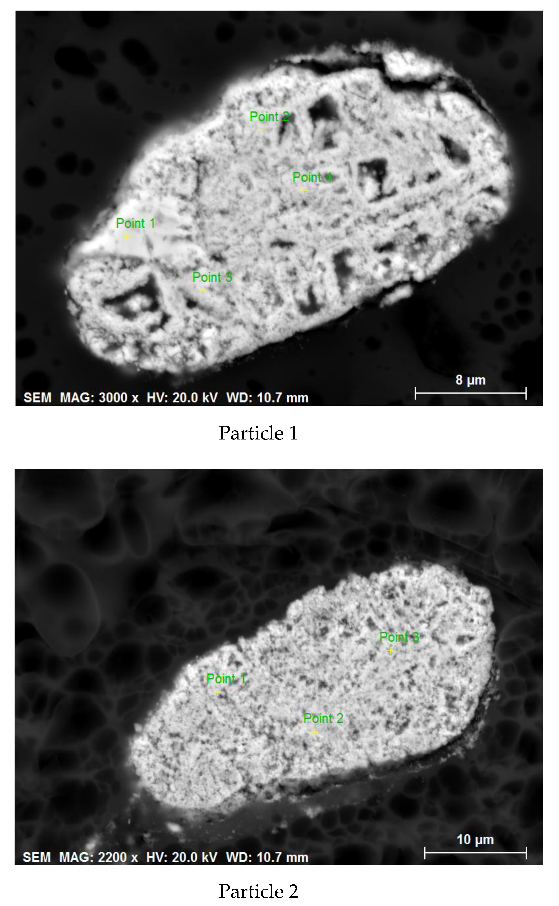 Minerals 10 00249 g015
