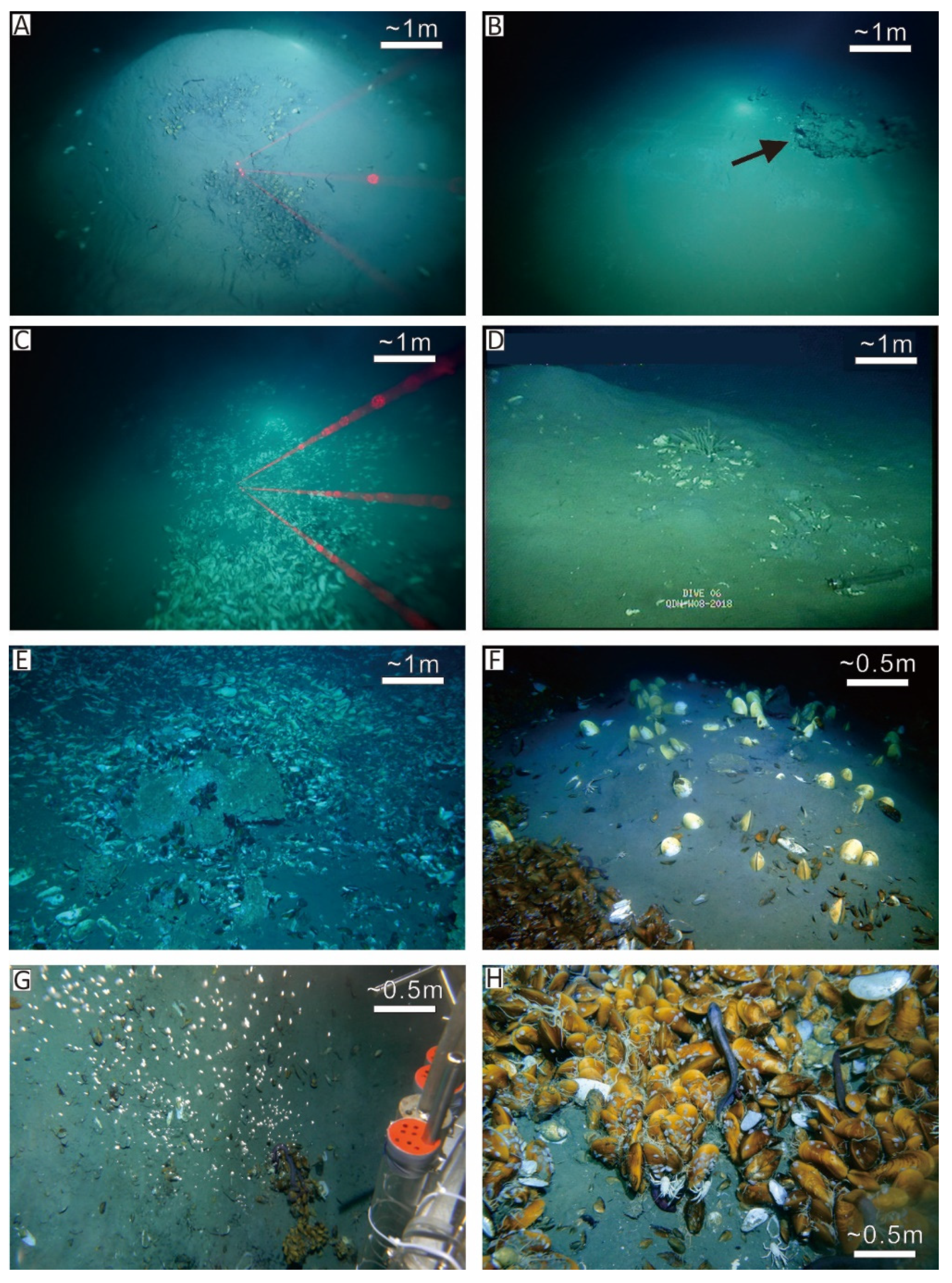 Minerals 10 00256 g002 Minerals 10 00256 g002