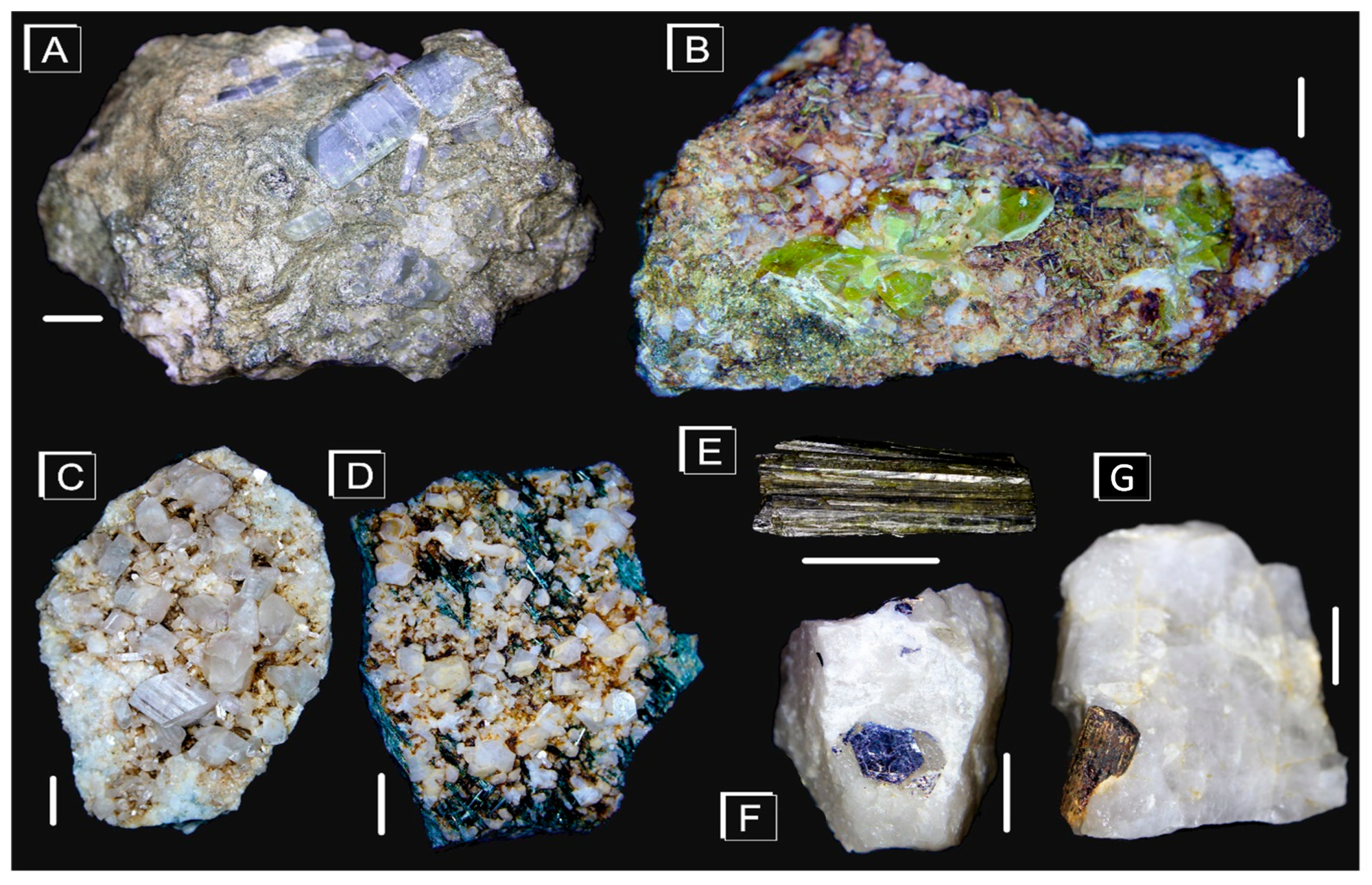 Minerals 10 00266 g002