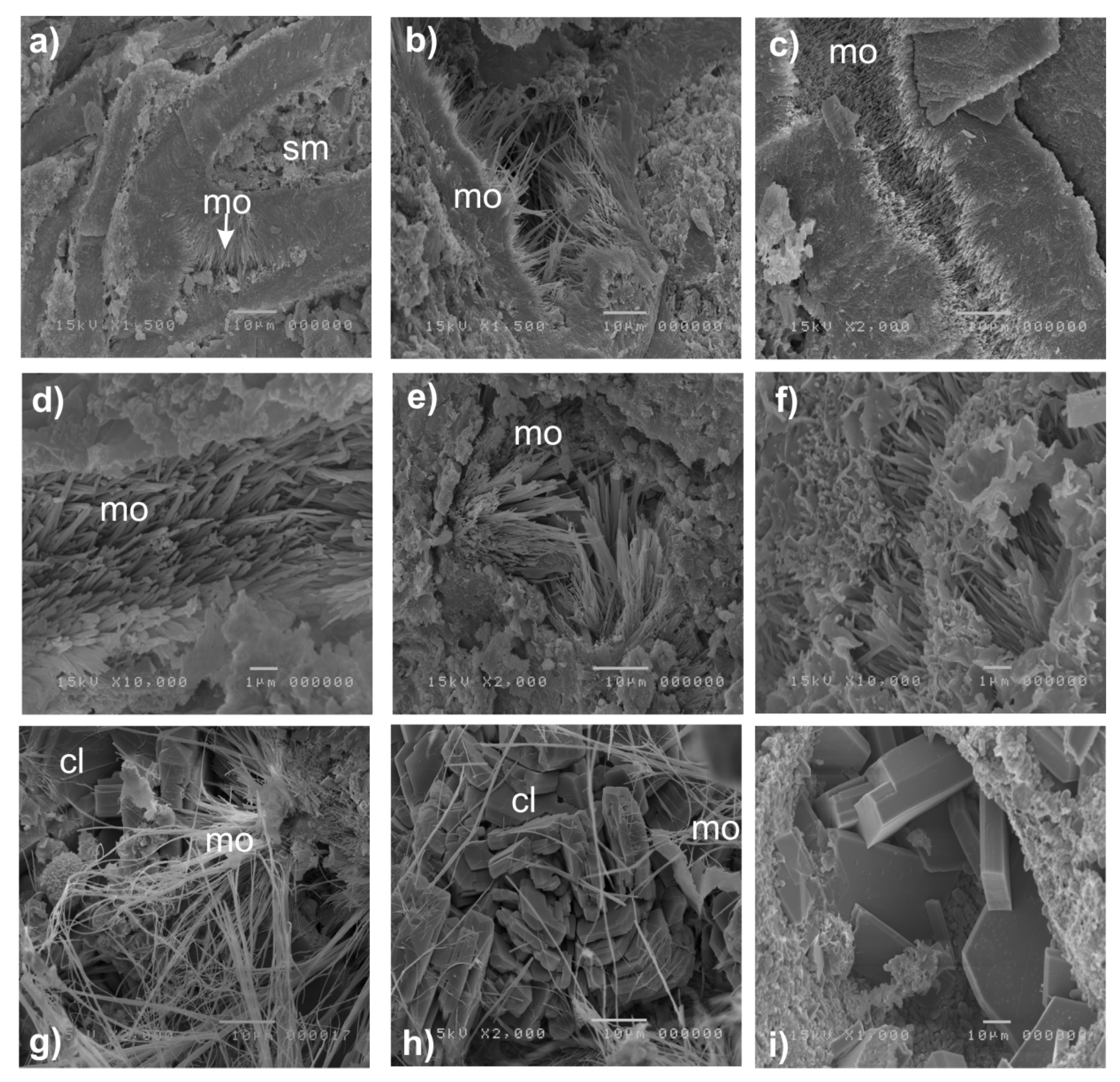 Minerals 10 00268 g007