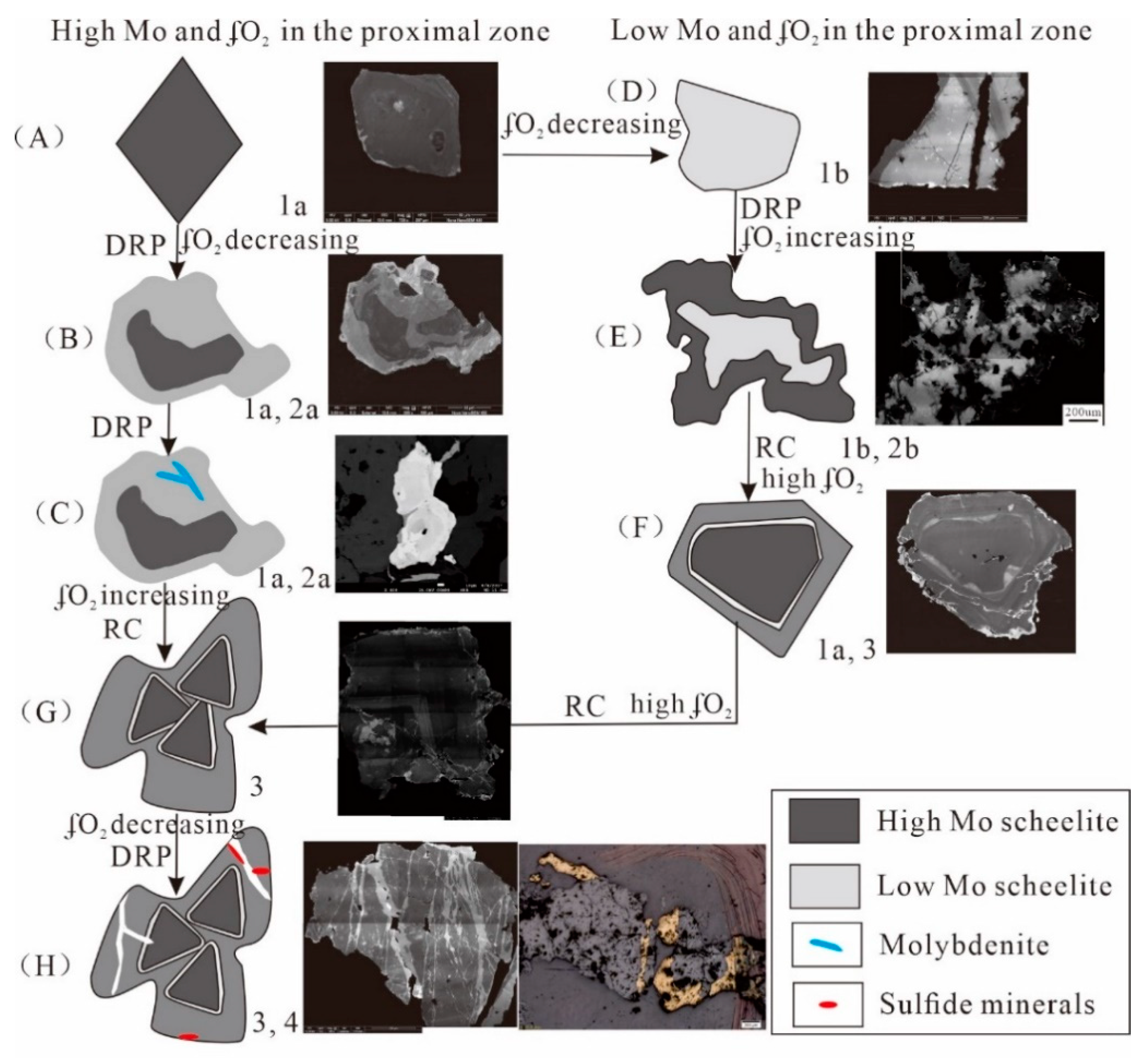 Minerals 10 00271 g008