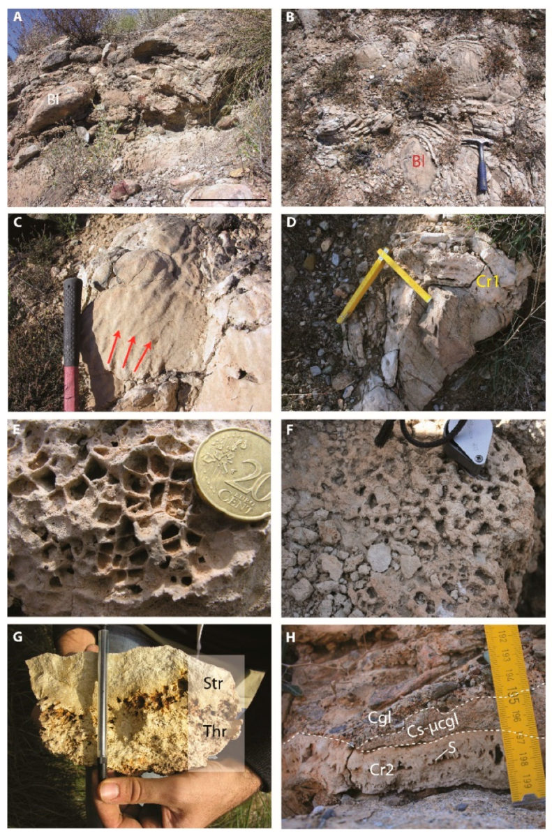 Minerals 10 00276 g007