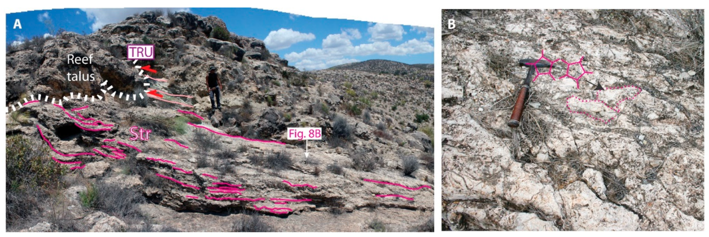 Minerals 10 00276 g008