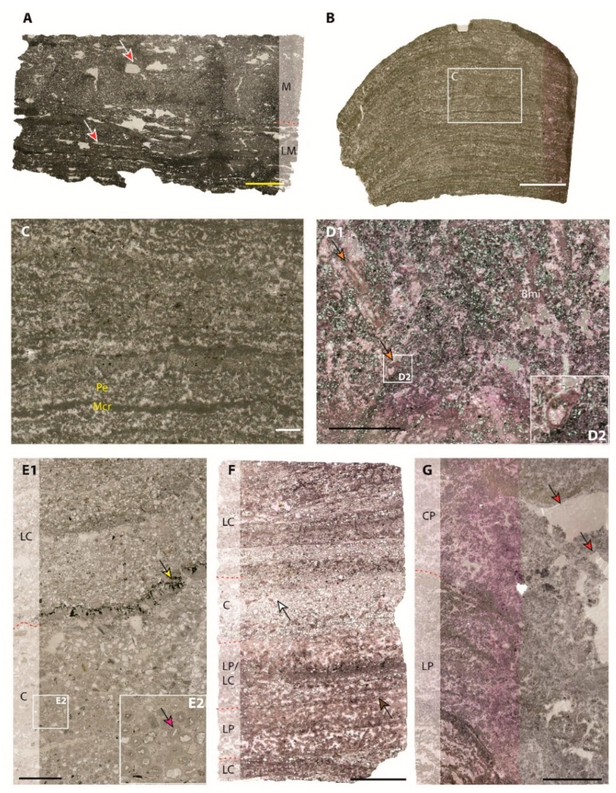 Minerals 10 00276 g009