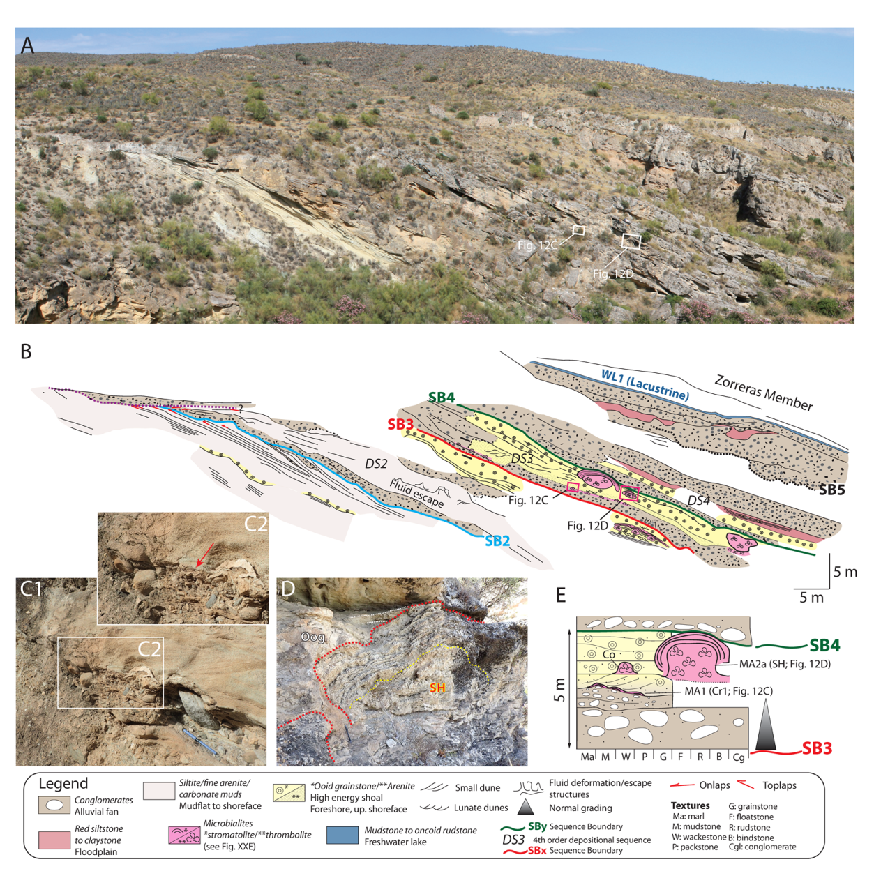 Minerals 10 00276 g012