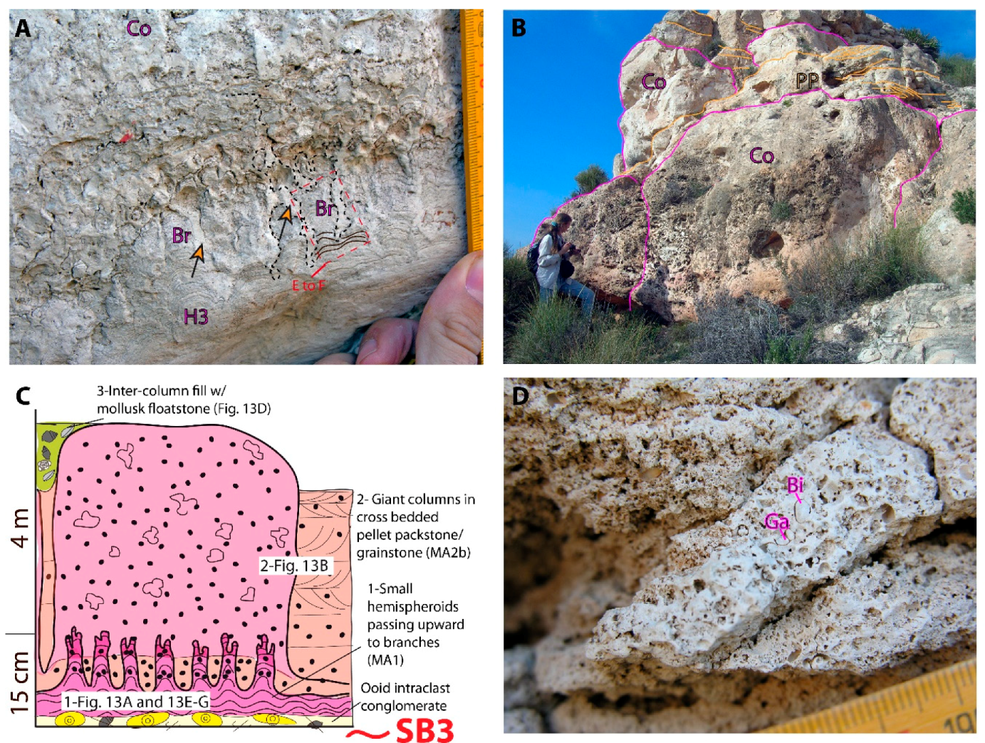 Minerals 10 00276 g013a