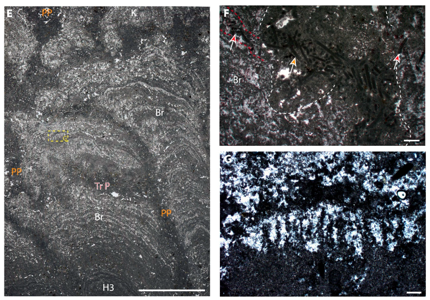 Minerals 10 00276 g013b