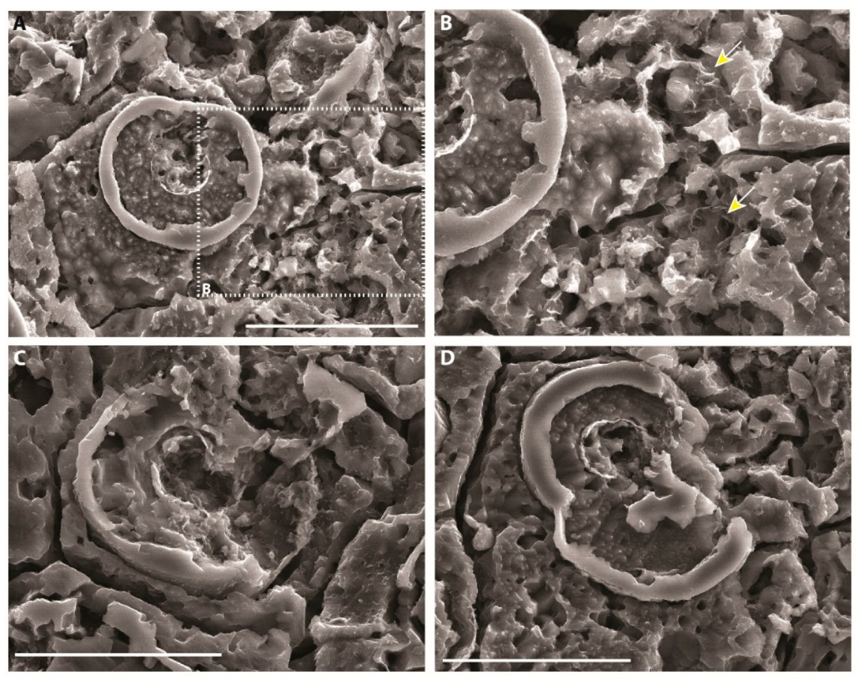 Minerals 10 00276 g017a