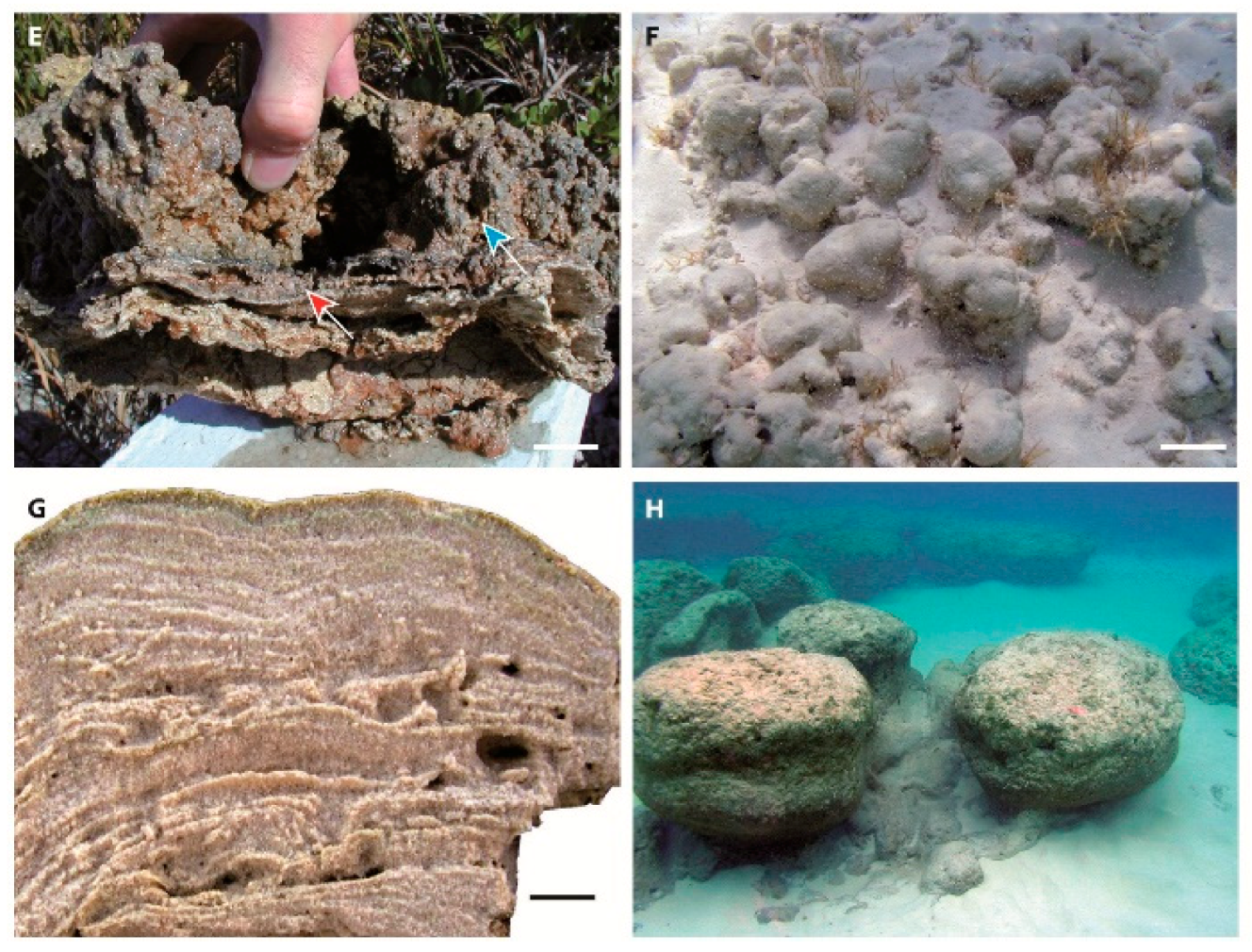 Minerals 10 00276 g018b