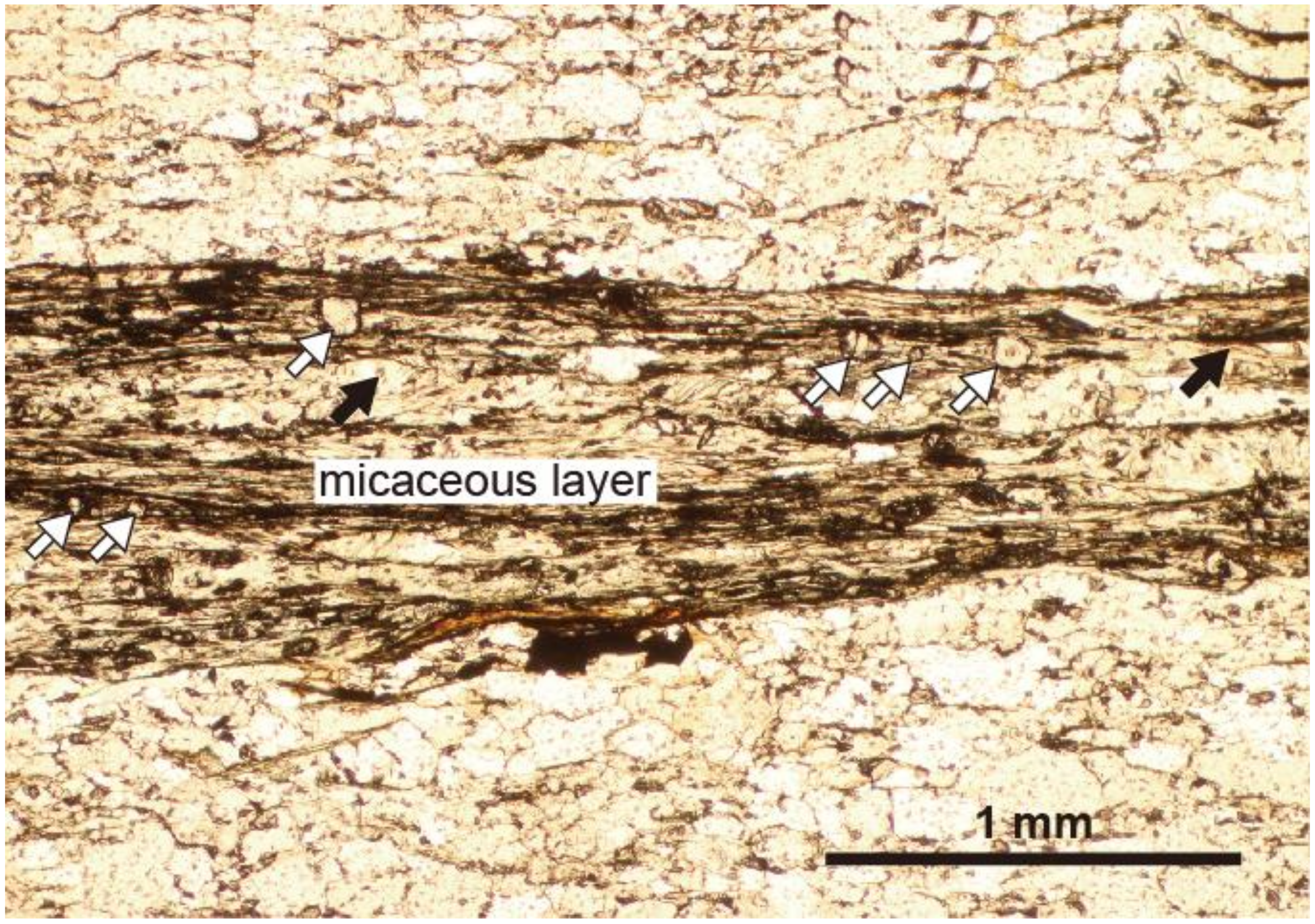 Minerals 10 00292 g002