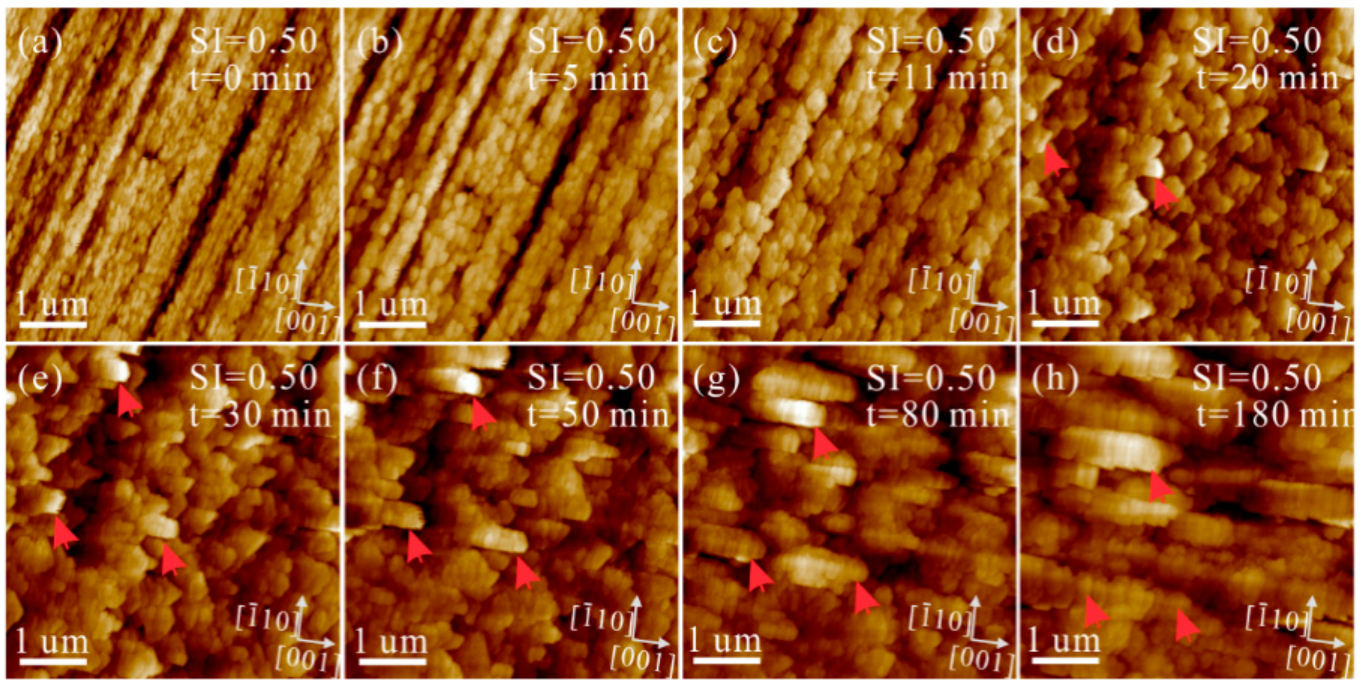 Minerals 10 00294 g007