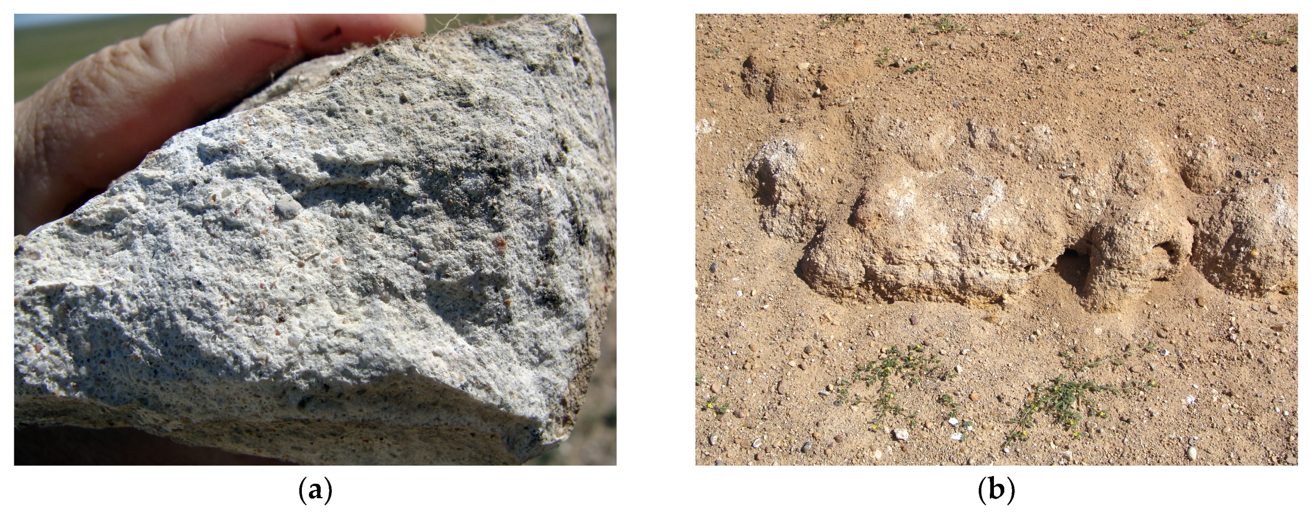 Minerals 10 00307 g003